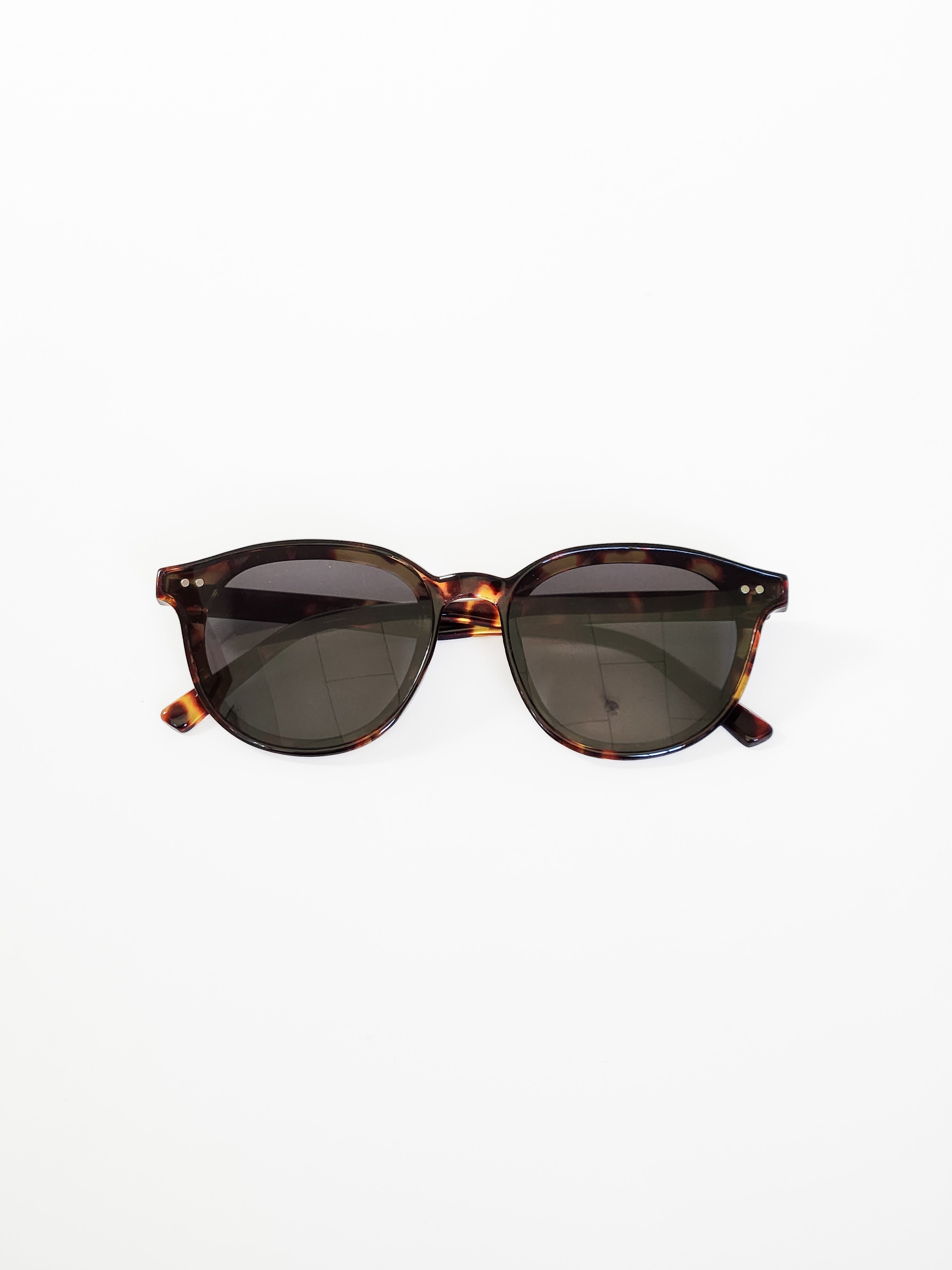 Lentes Sussy 80061SUN