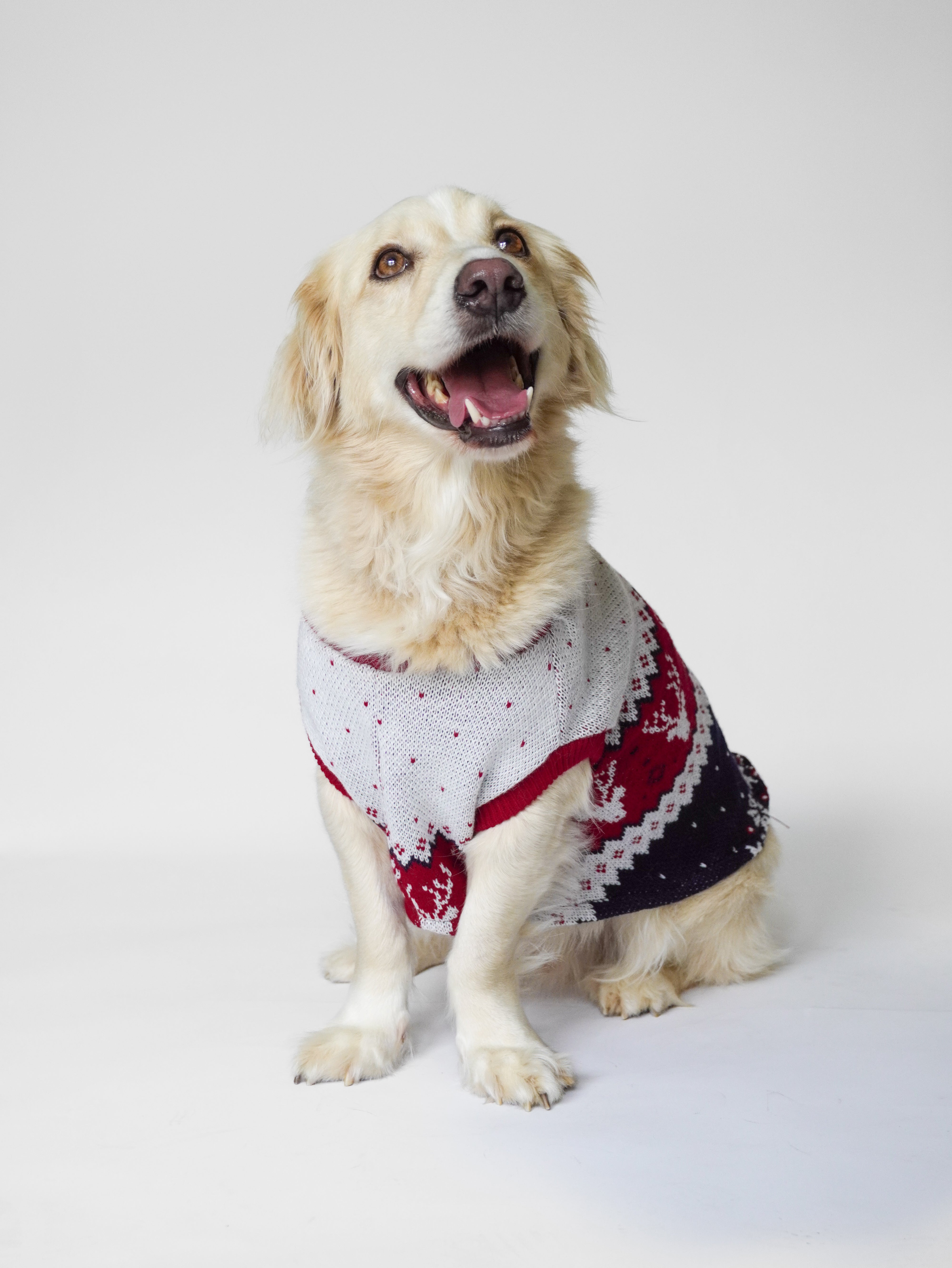 Abrigo Navideño Tendenza Xmas-MA280