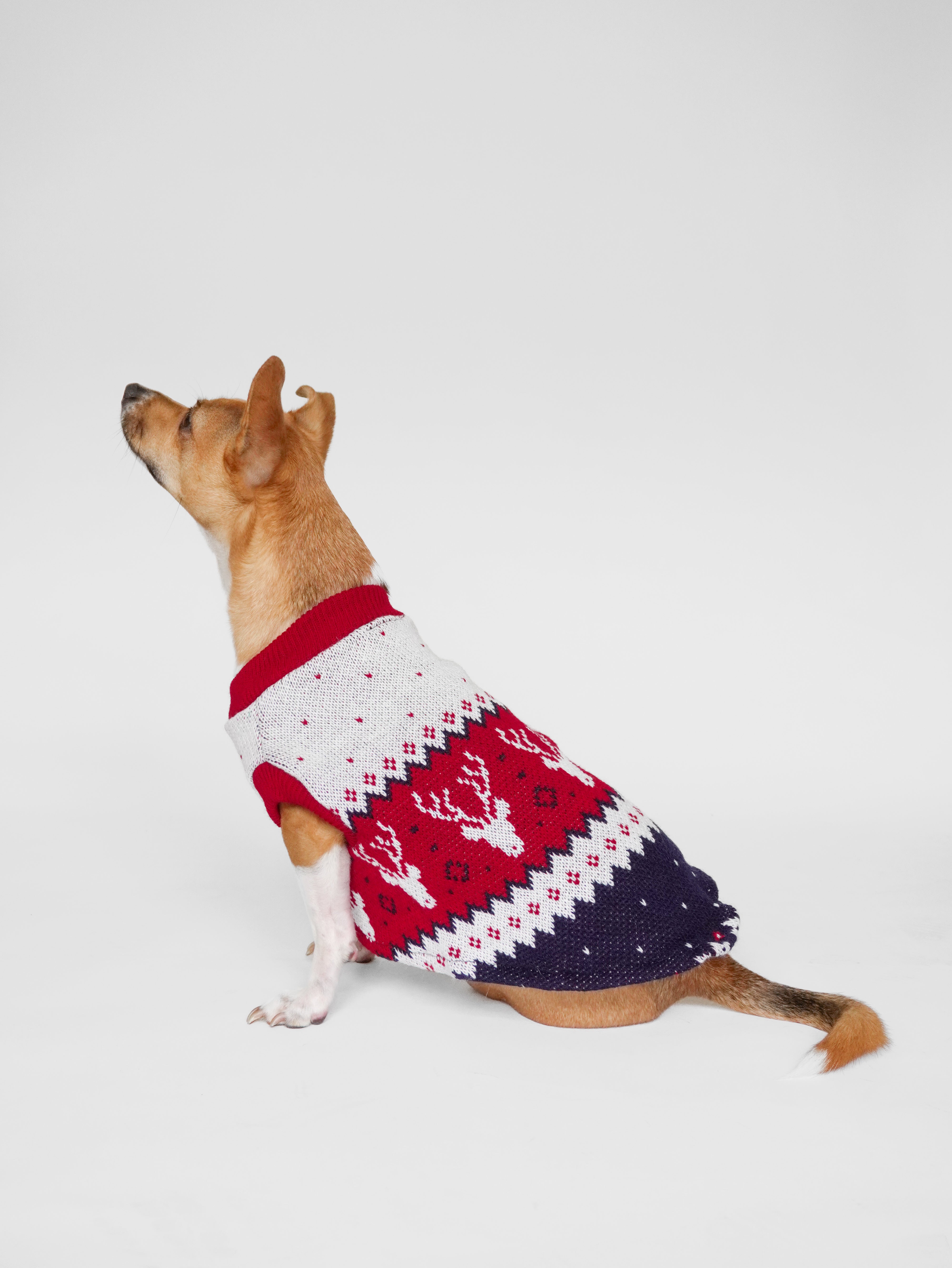 Abrigo Navideño Tendenza Xmas-MA279