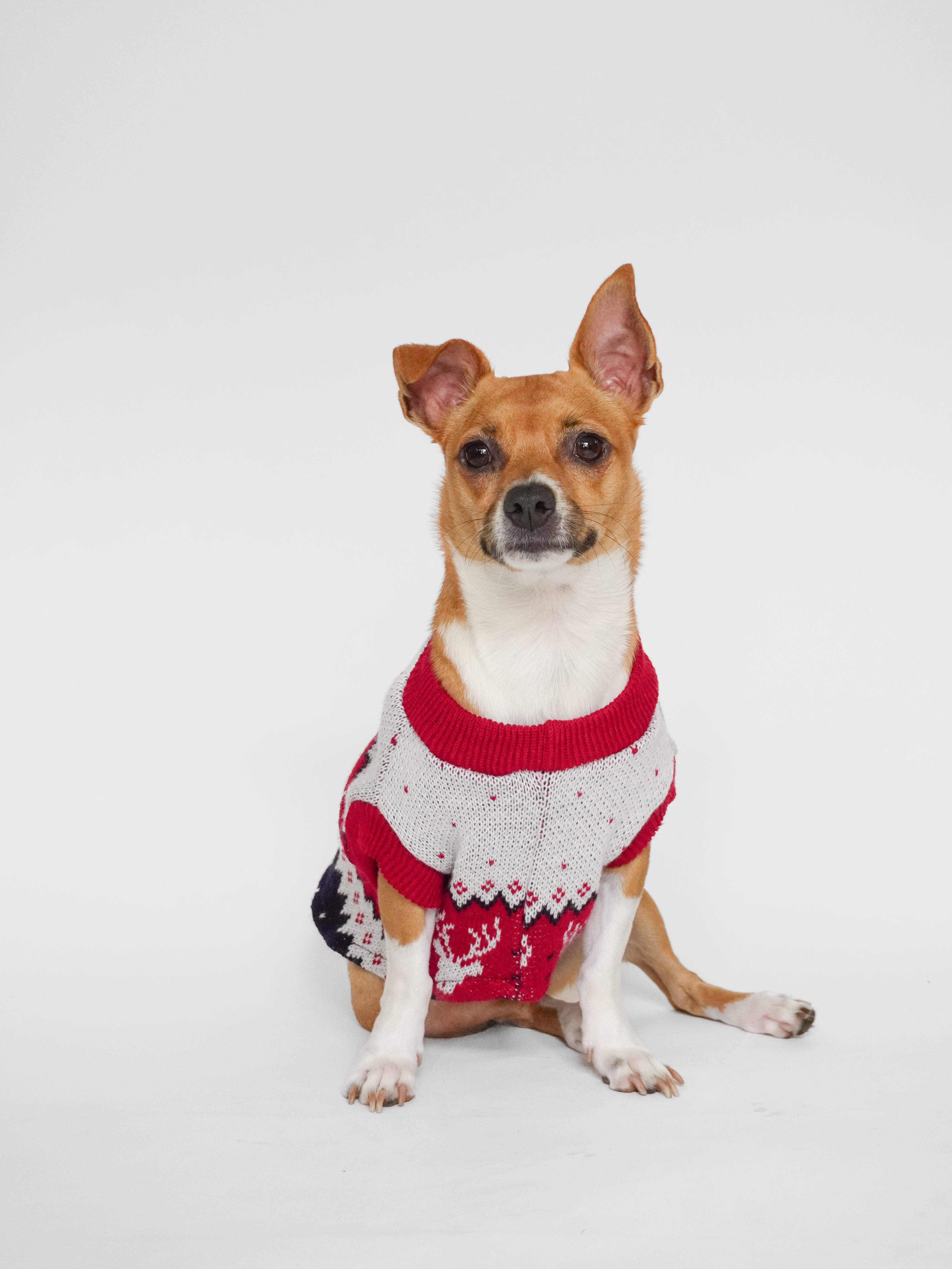 Abrigo Navideño Tendenza Xmas-MA279