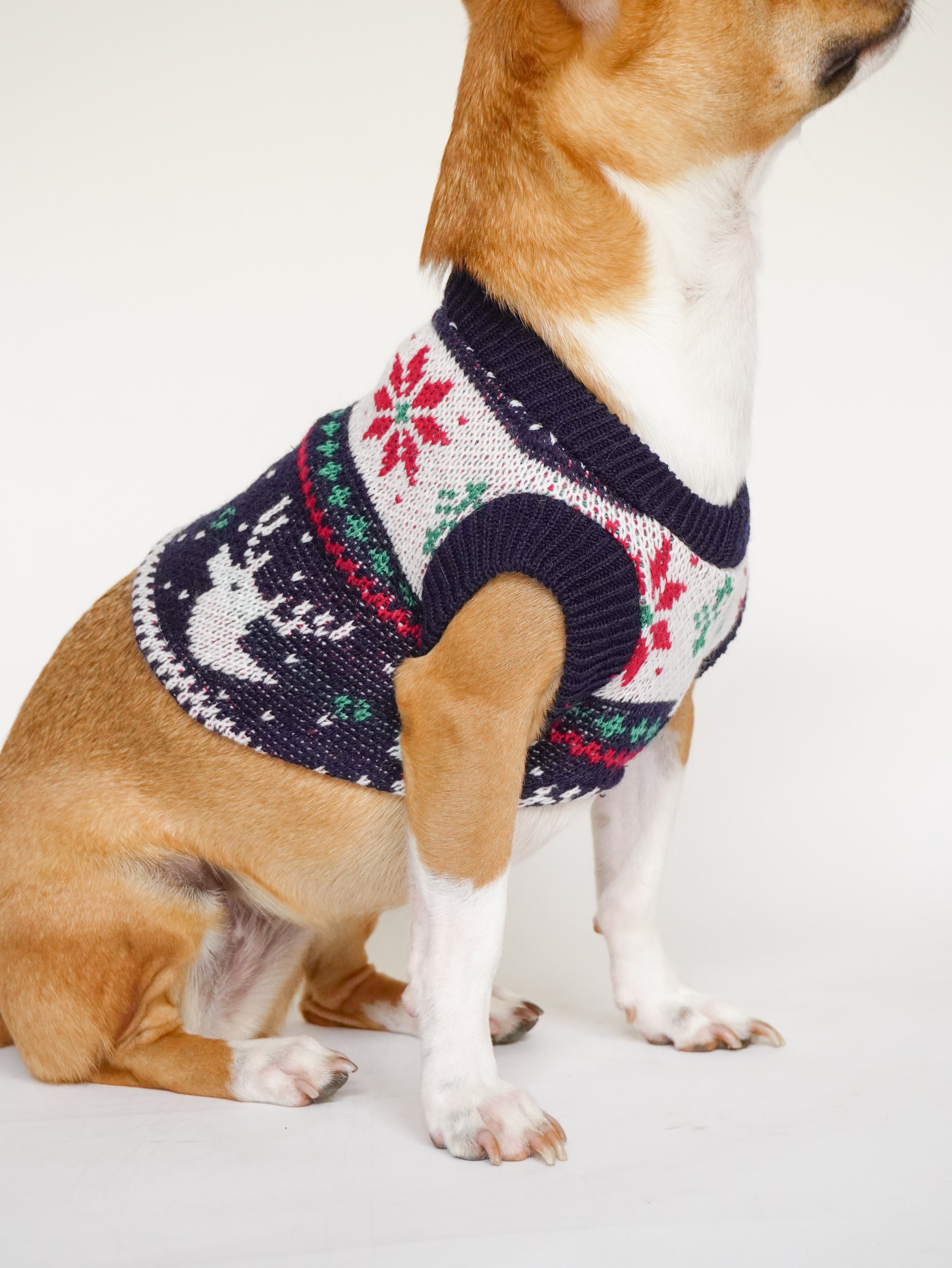 Abrigo Navideño Tendenza Mascotas Quebec R/V Xmas-MA275