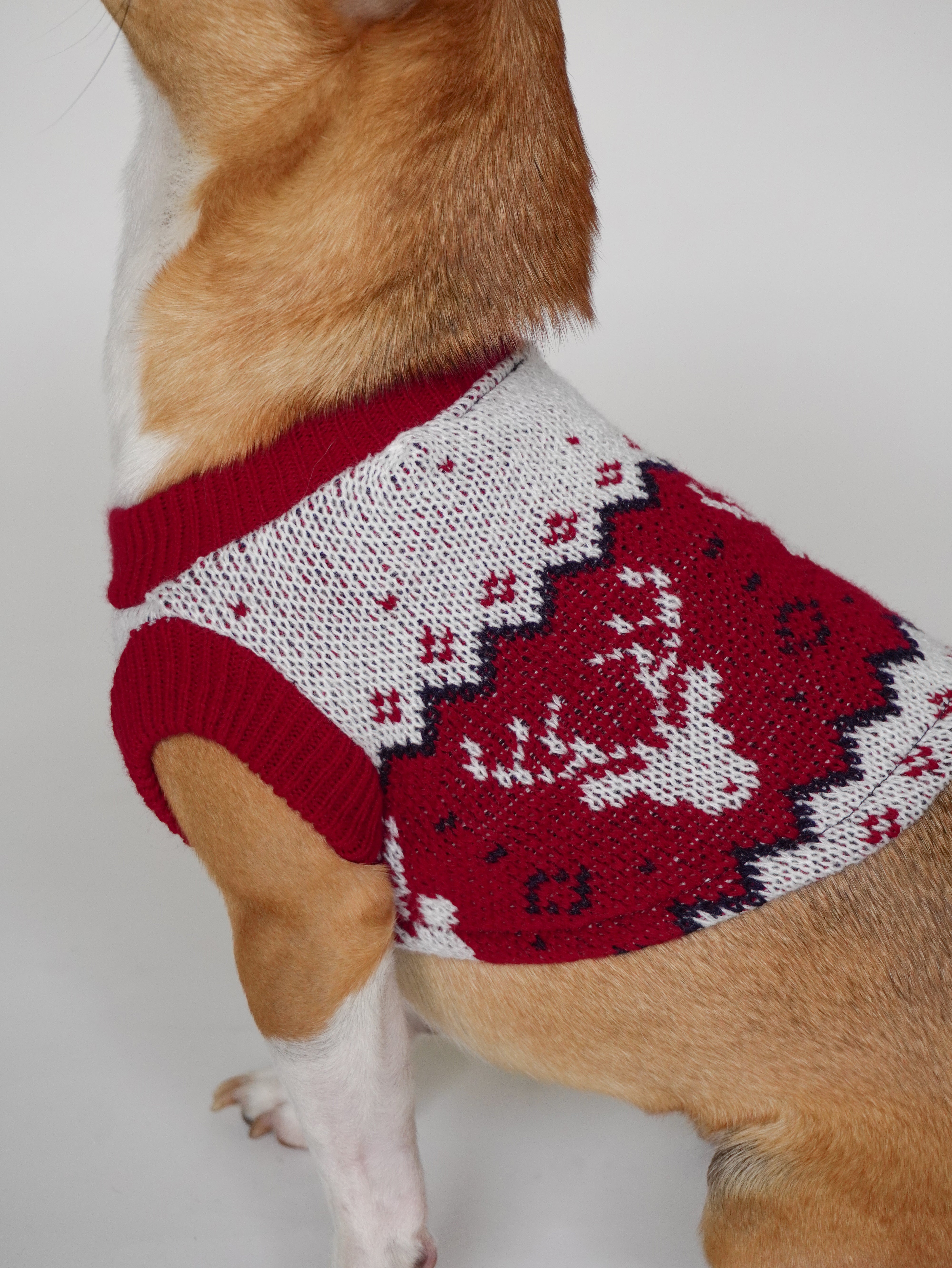 Abrigo Navideño Tendenza Xmas-MA278