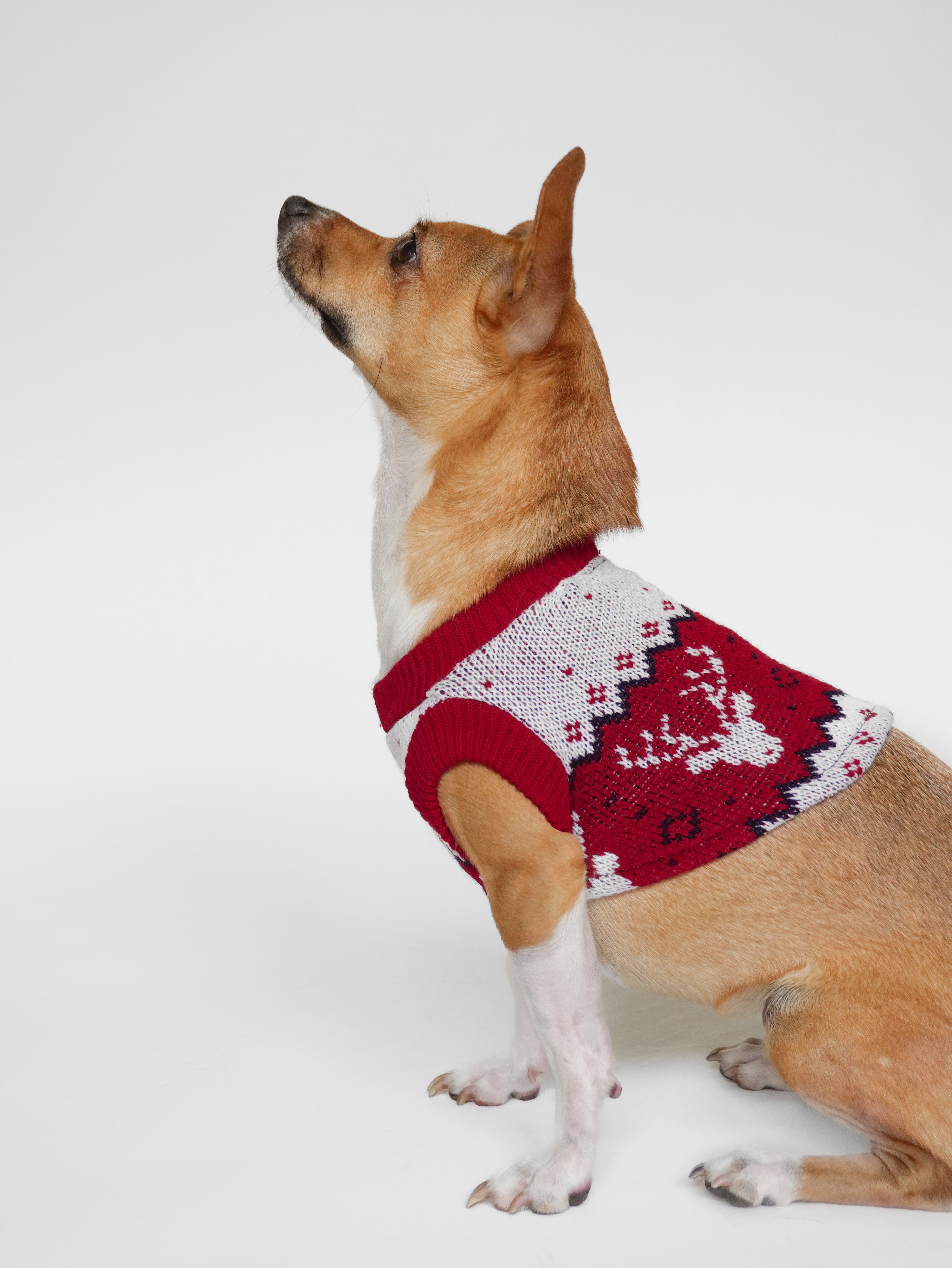 Abrigo Navideño Tendenza Xmas-MA278