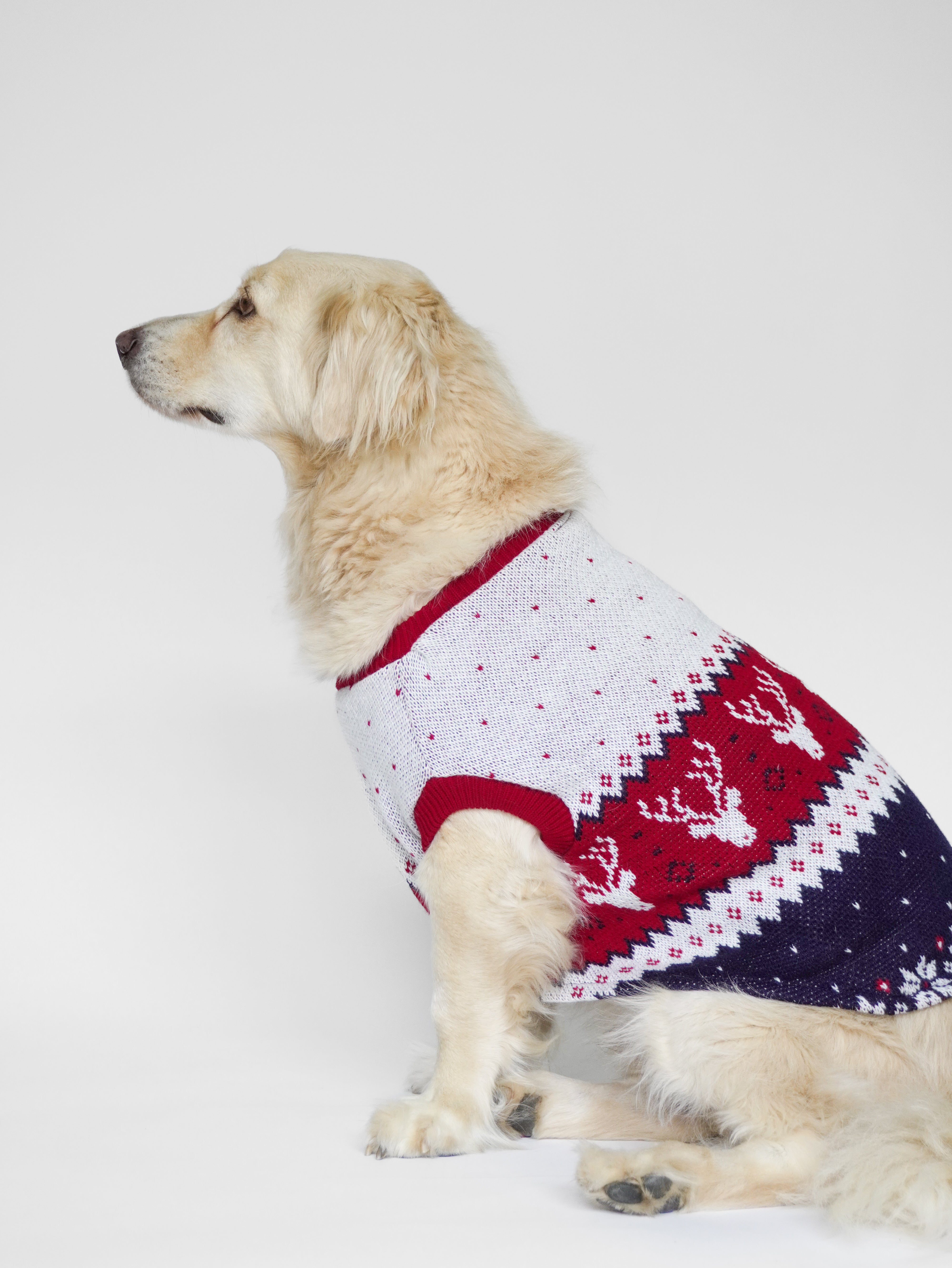 Abrigo Navideño Tendenza Xmas-MA280