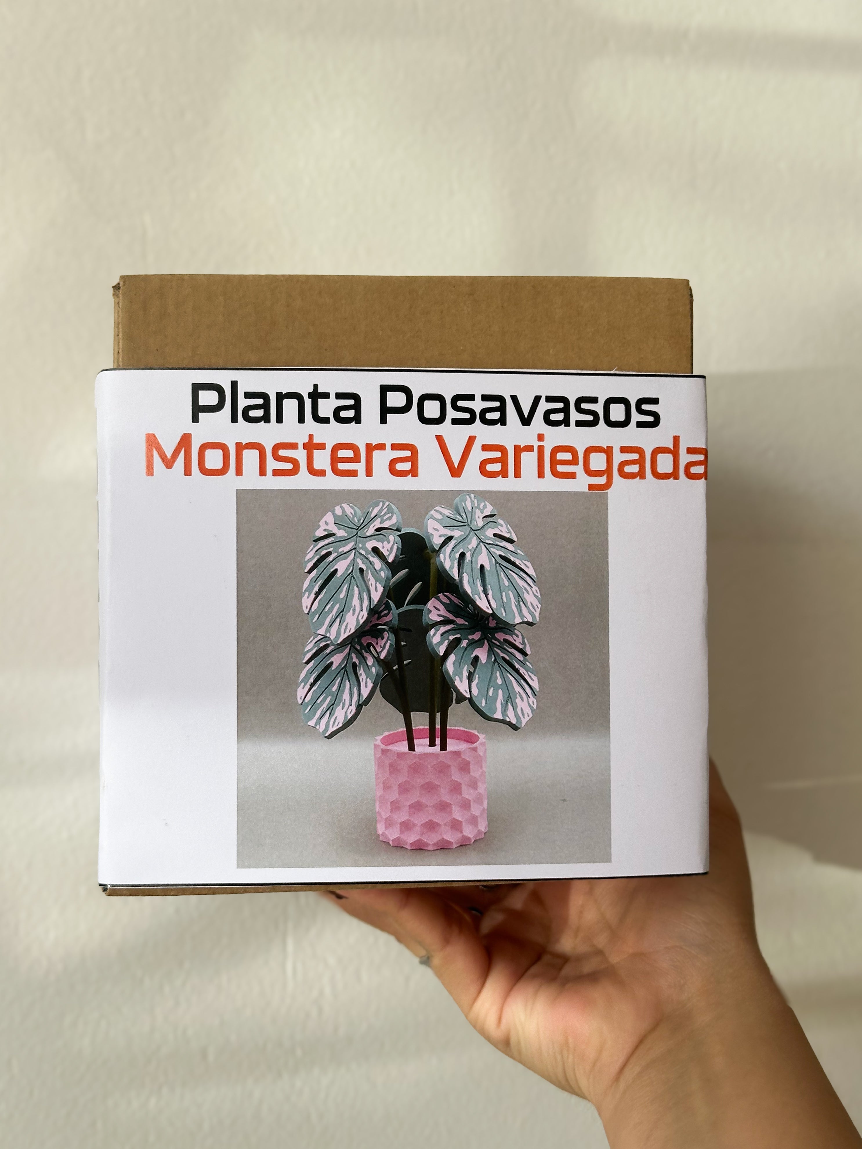 Planta Posavasos Formas 3D F3DPPHP002