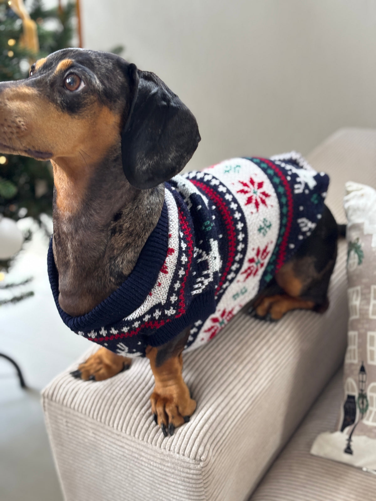 Abrigo Navideño Tendenza Xmas-MA276