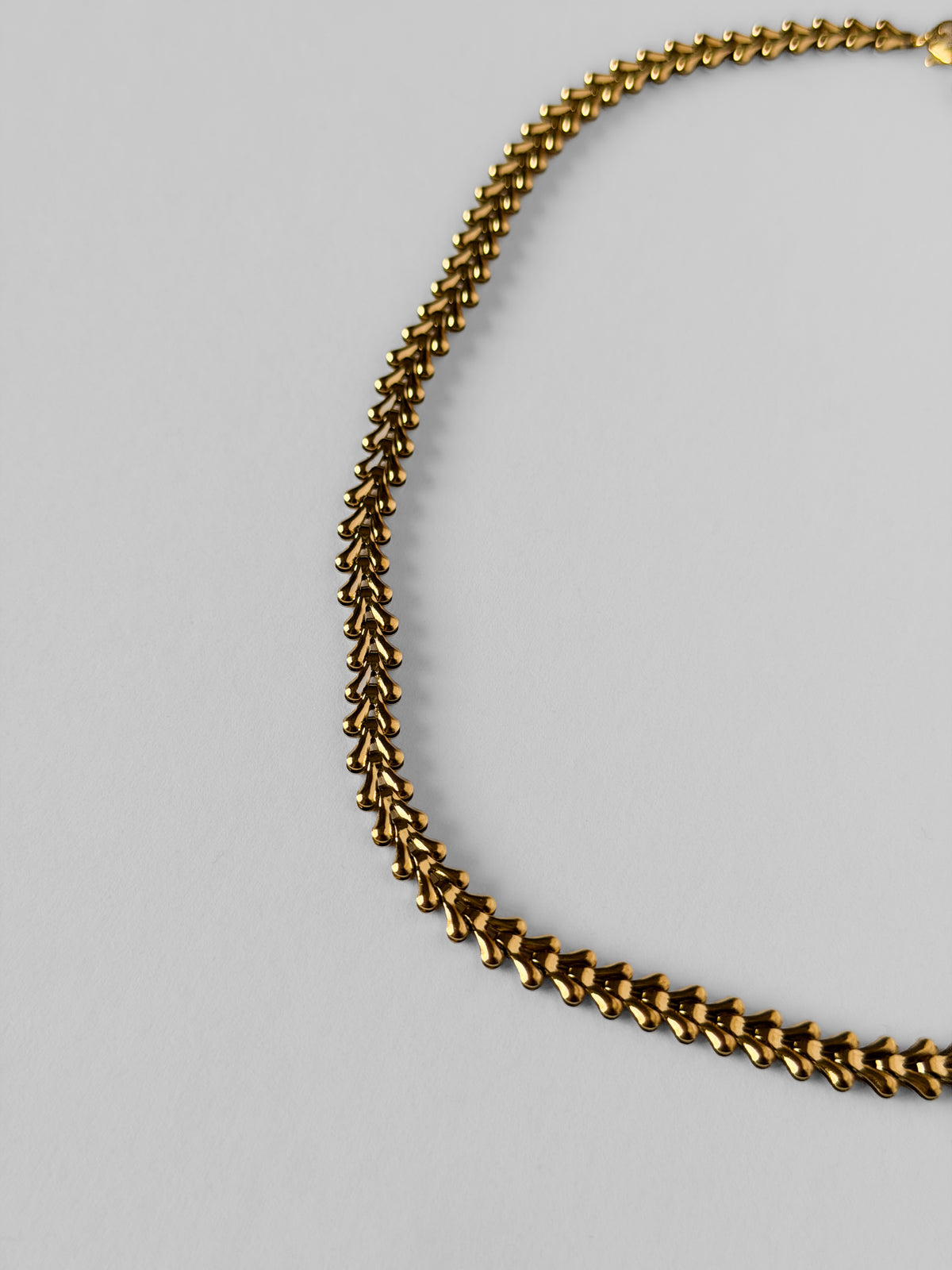 Collar On Cue Zoe YH1057A