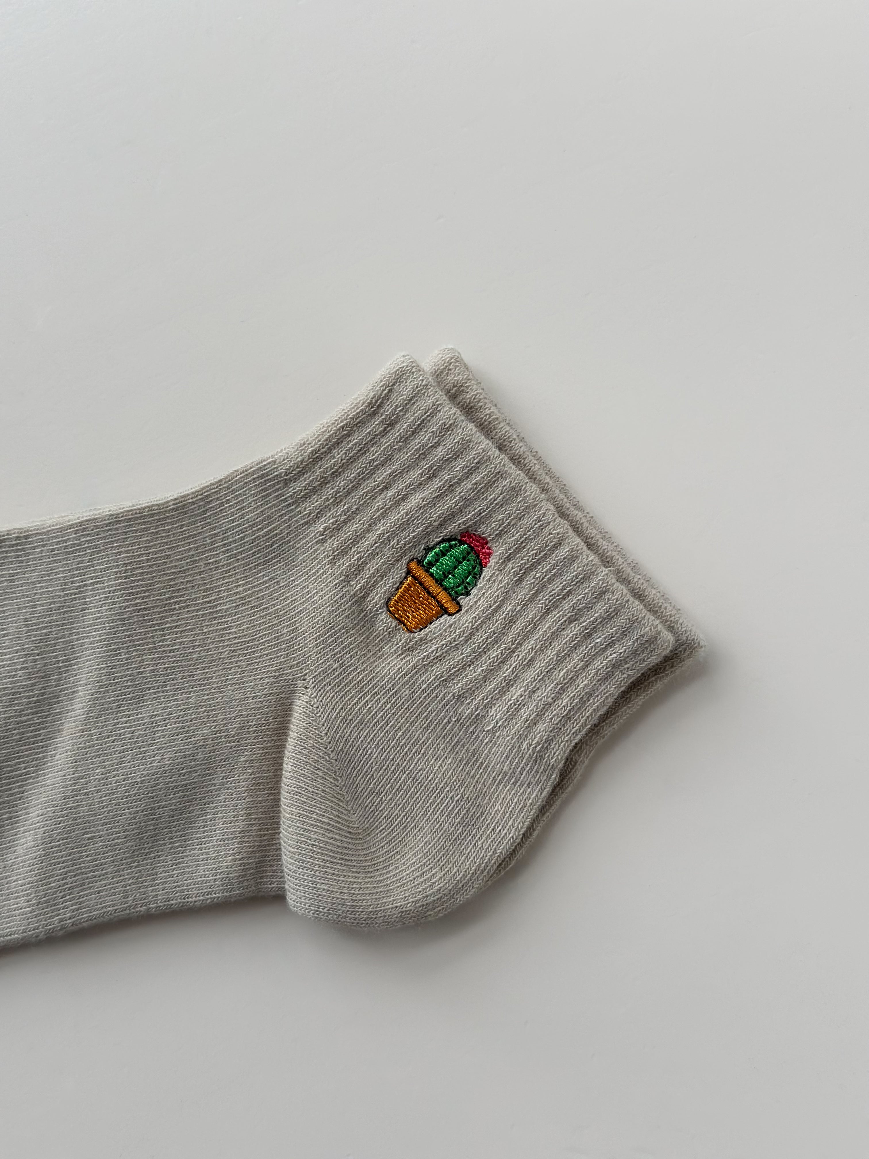 Media nollia cactus LNVS3004-BG