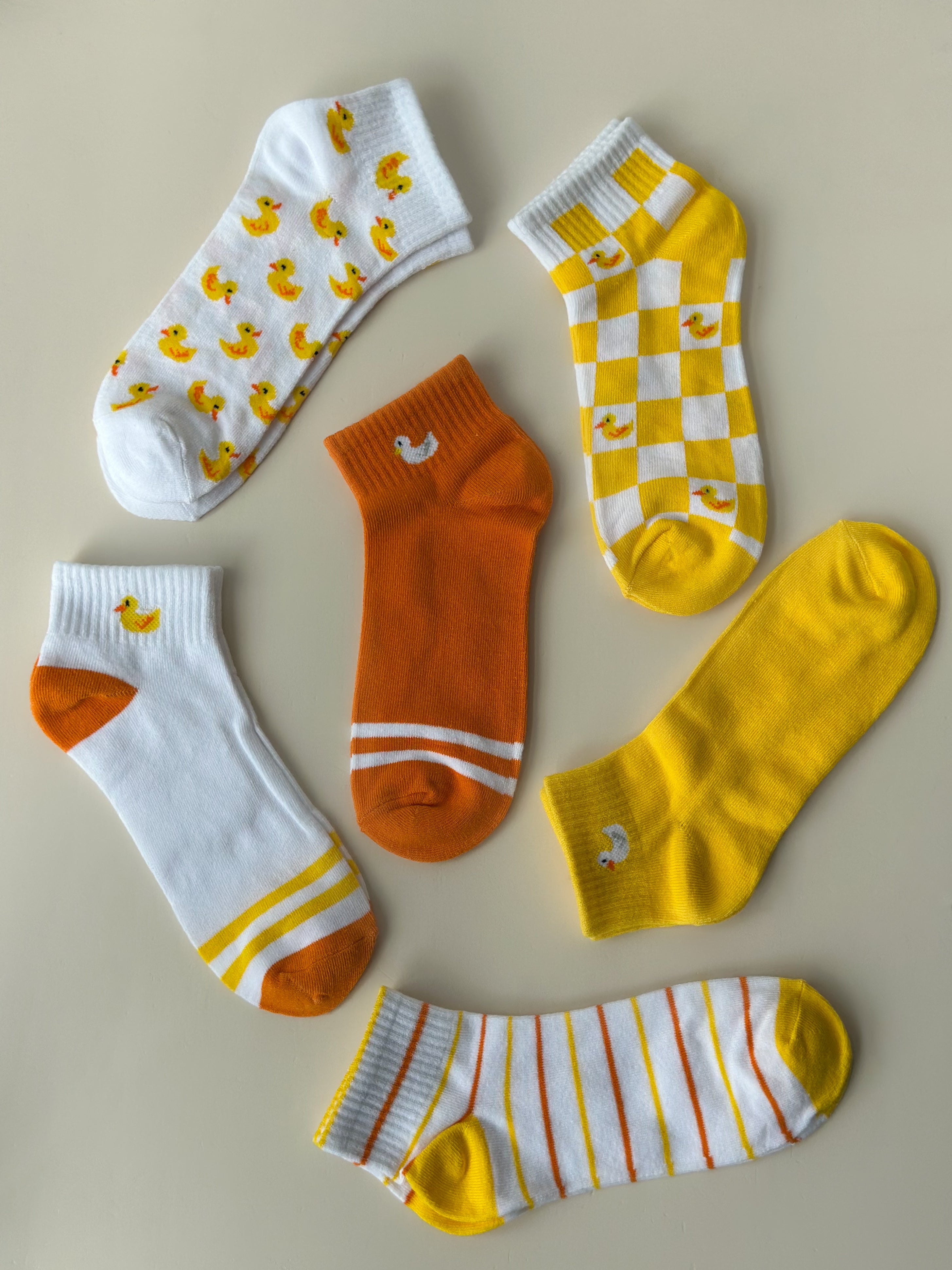 Media nollia pato sixpack LN6F1645