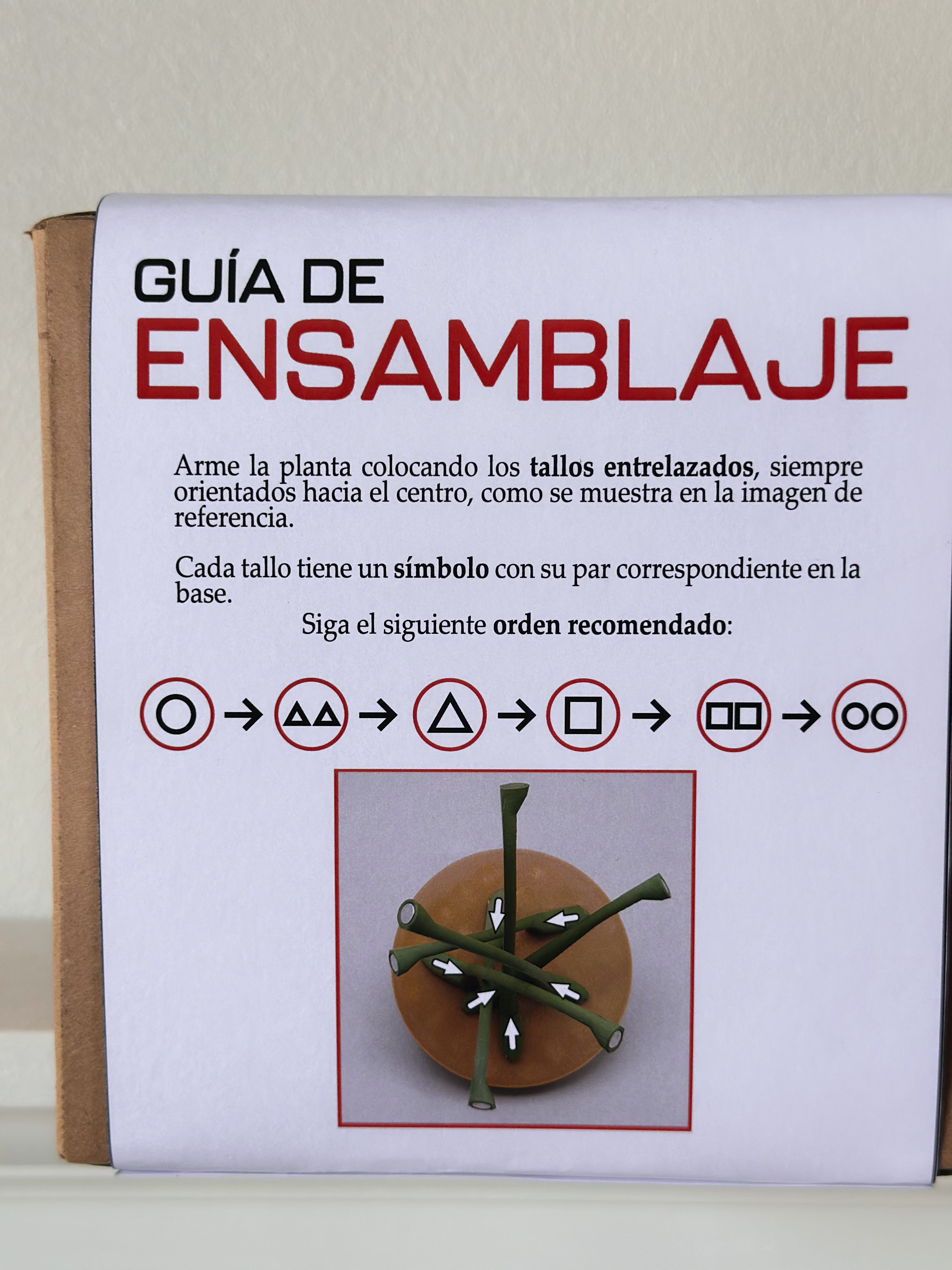 Planta posavasos margarita F3DPPFM001