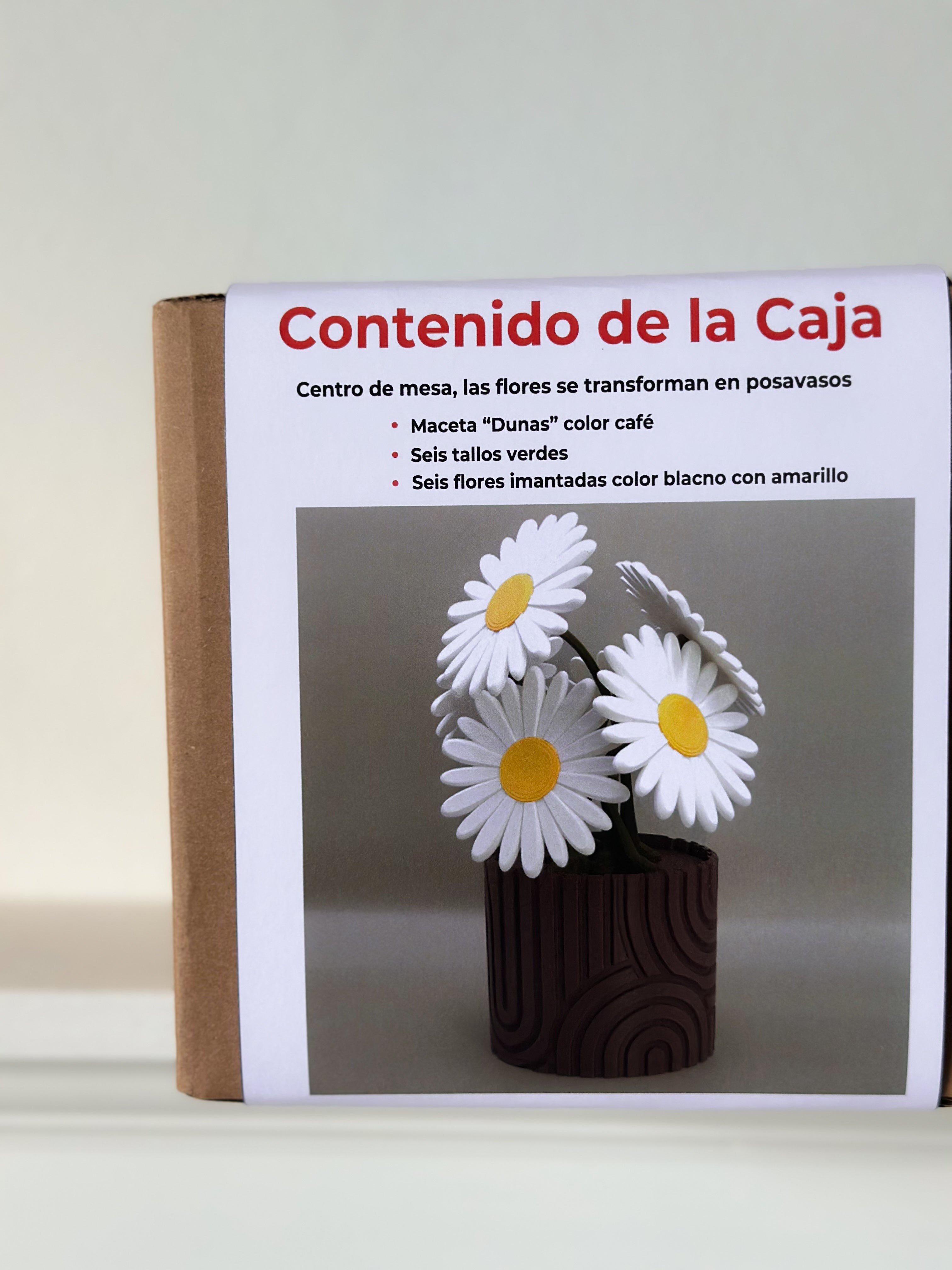 Planta posavasos margarita F3DPPFM001