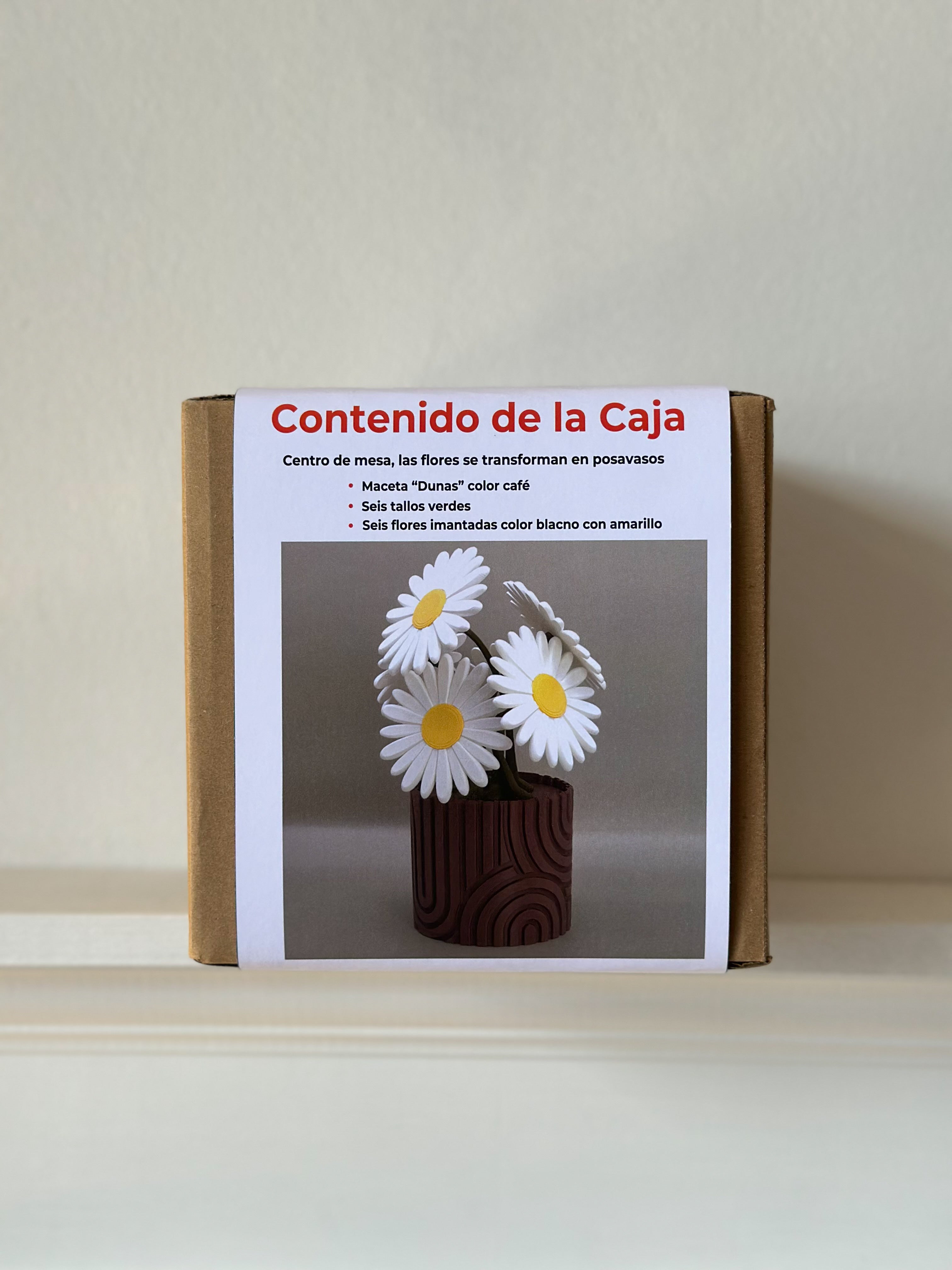 Planta posavasos margarita Planta posavasos formas 3D