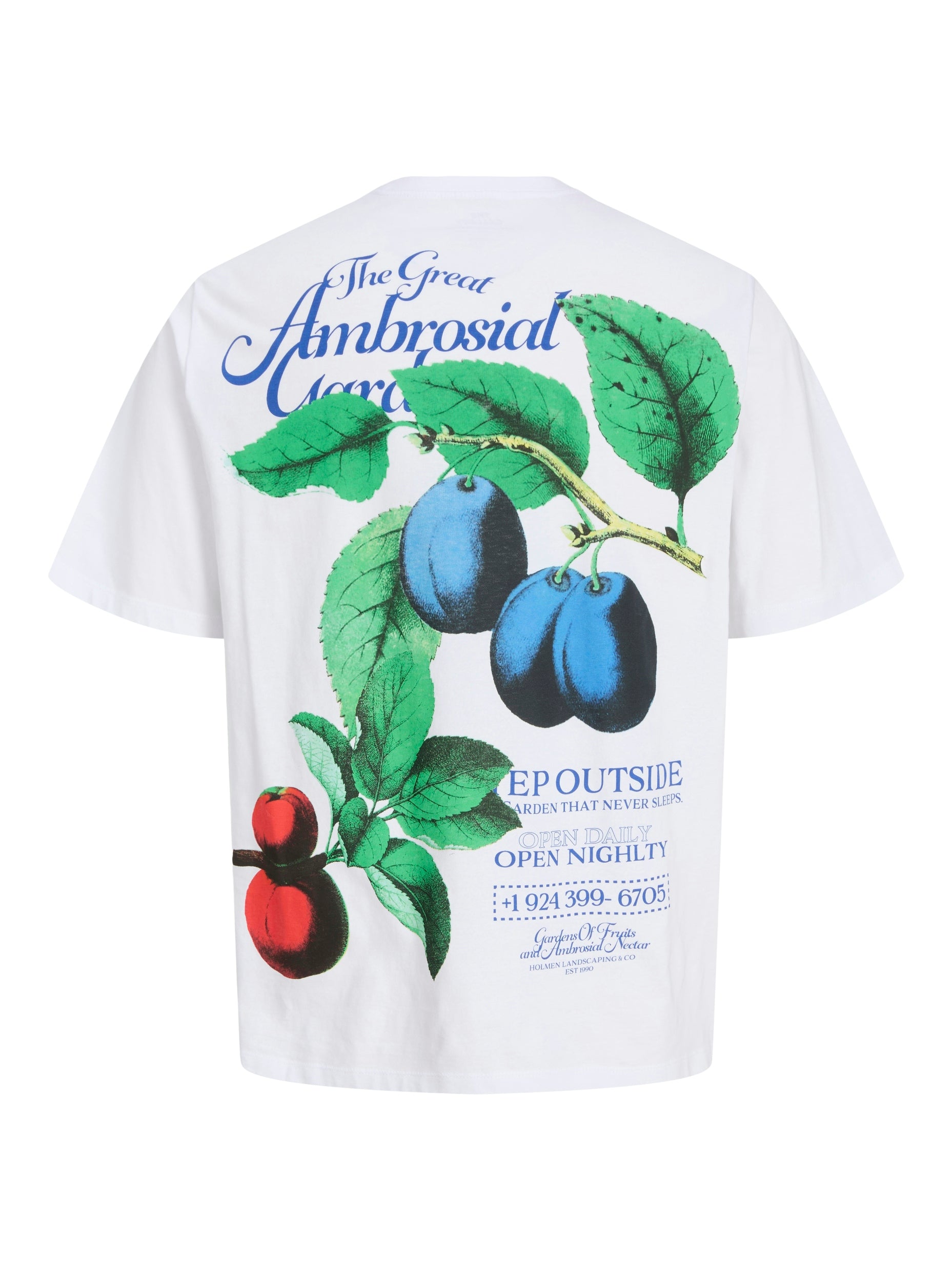 Tshirt Jack Jones Fauna Ambrosial 12283968