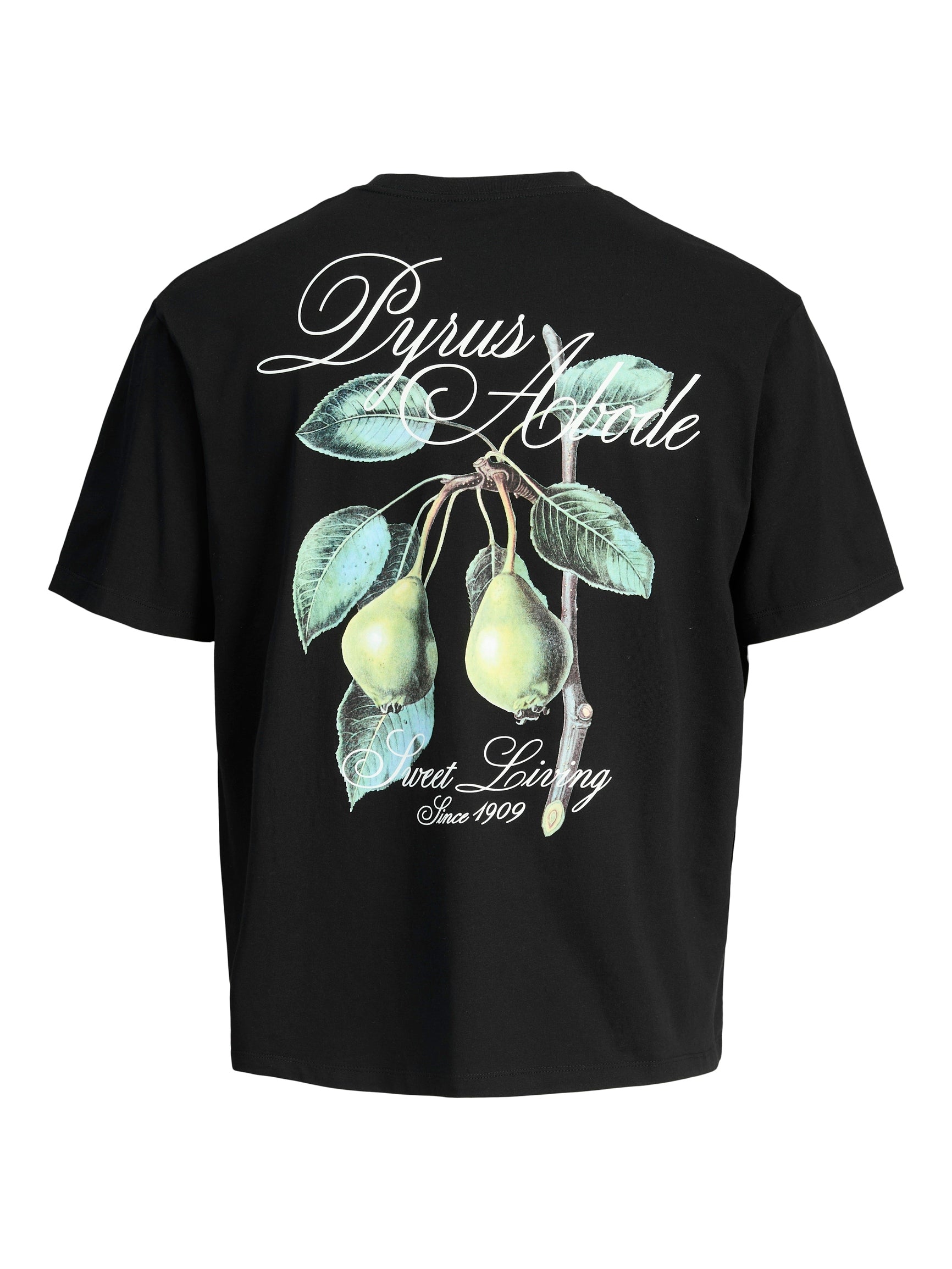 Tshirt Jack Jones Fauna 12283968