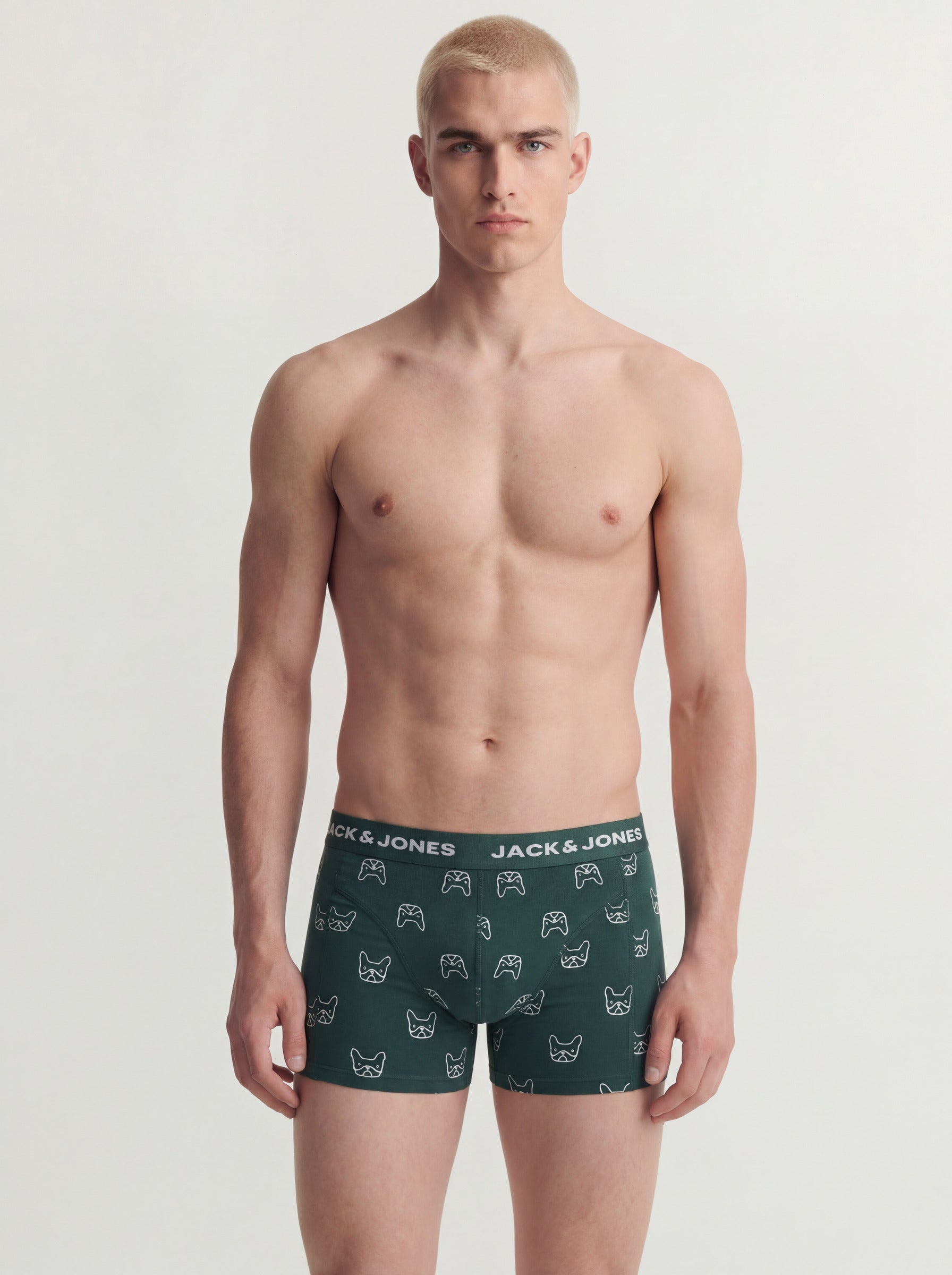 Boxer Jack Jones Denim dog 12275817