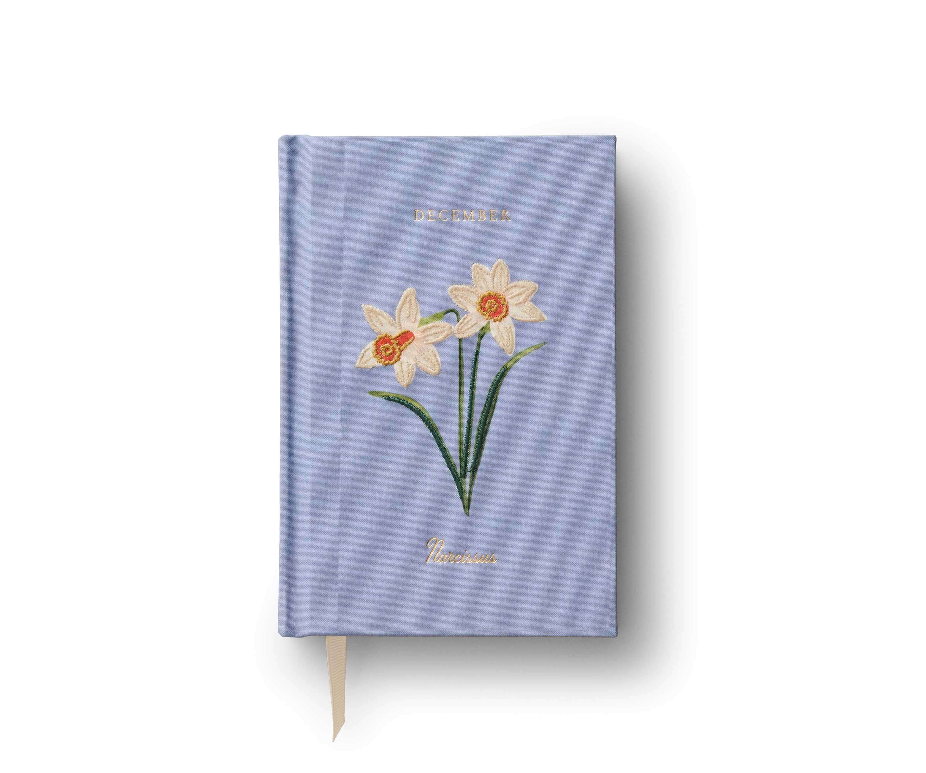 Mini diario Diciembre JNB012