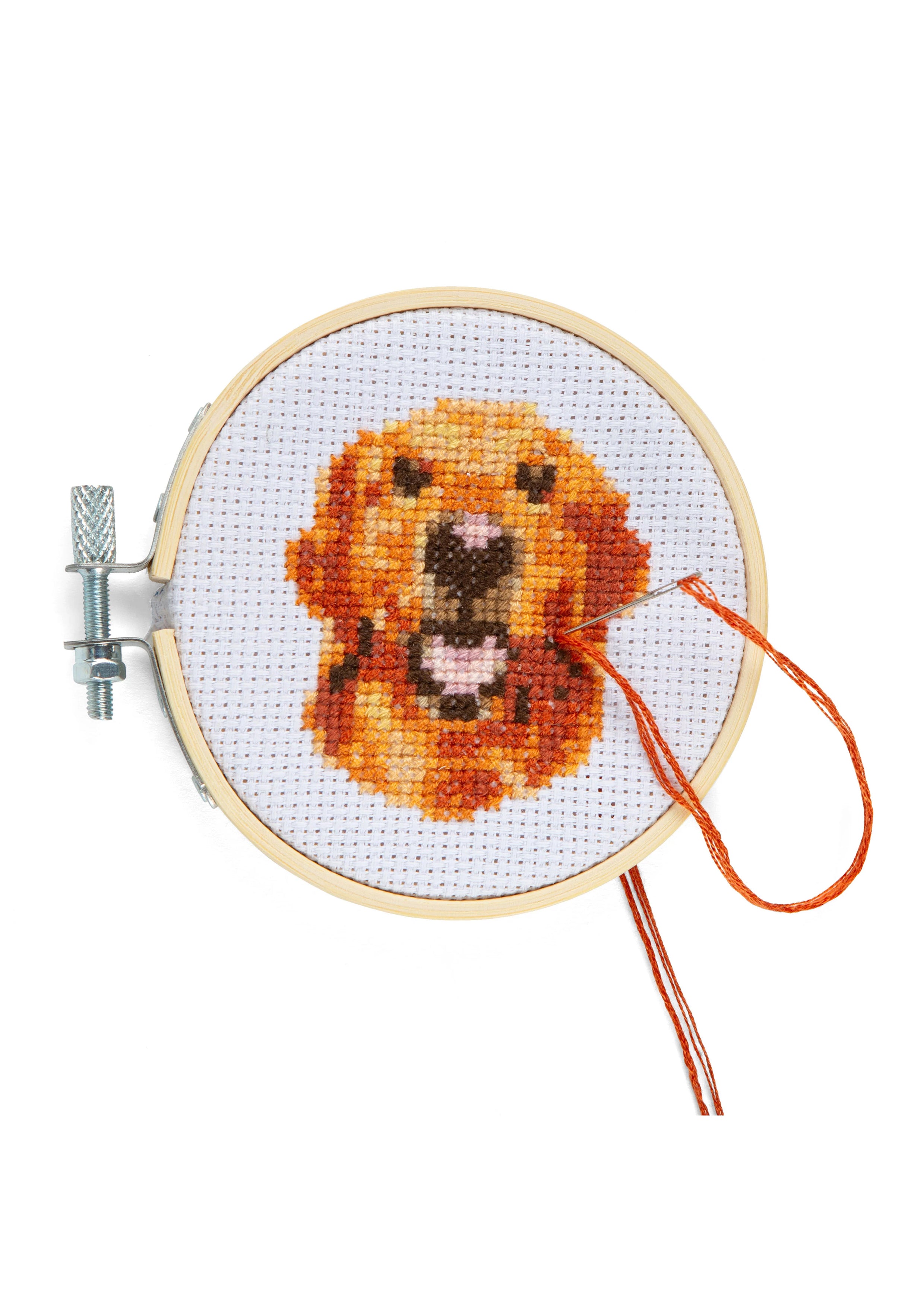 Mini Kit Punto De Cruz Perro GG284