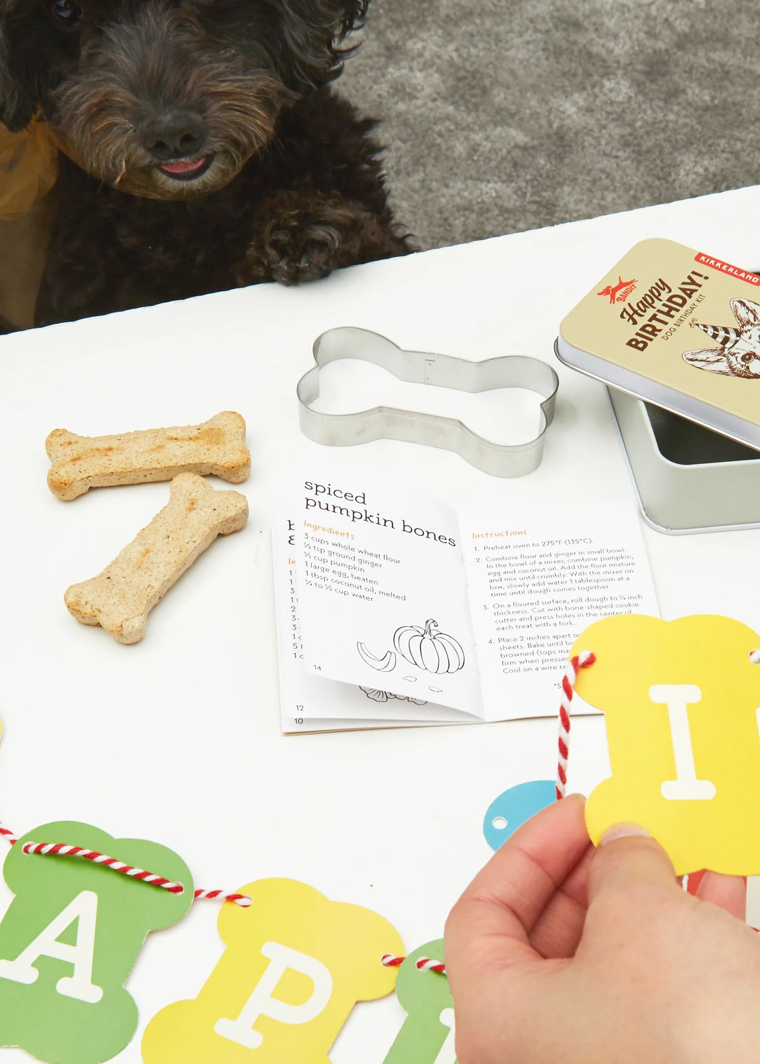 Kit de cumpleaños para perro Dog Birthday Kikkerland DIG03