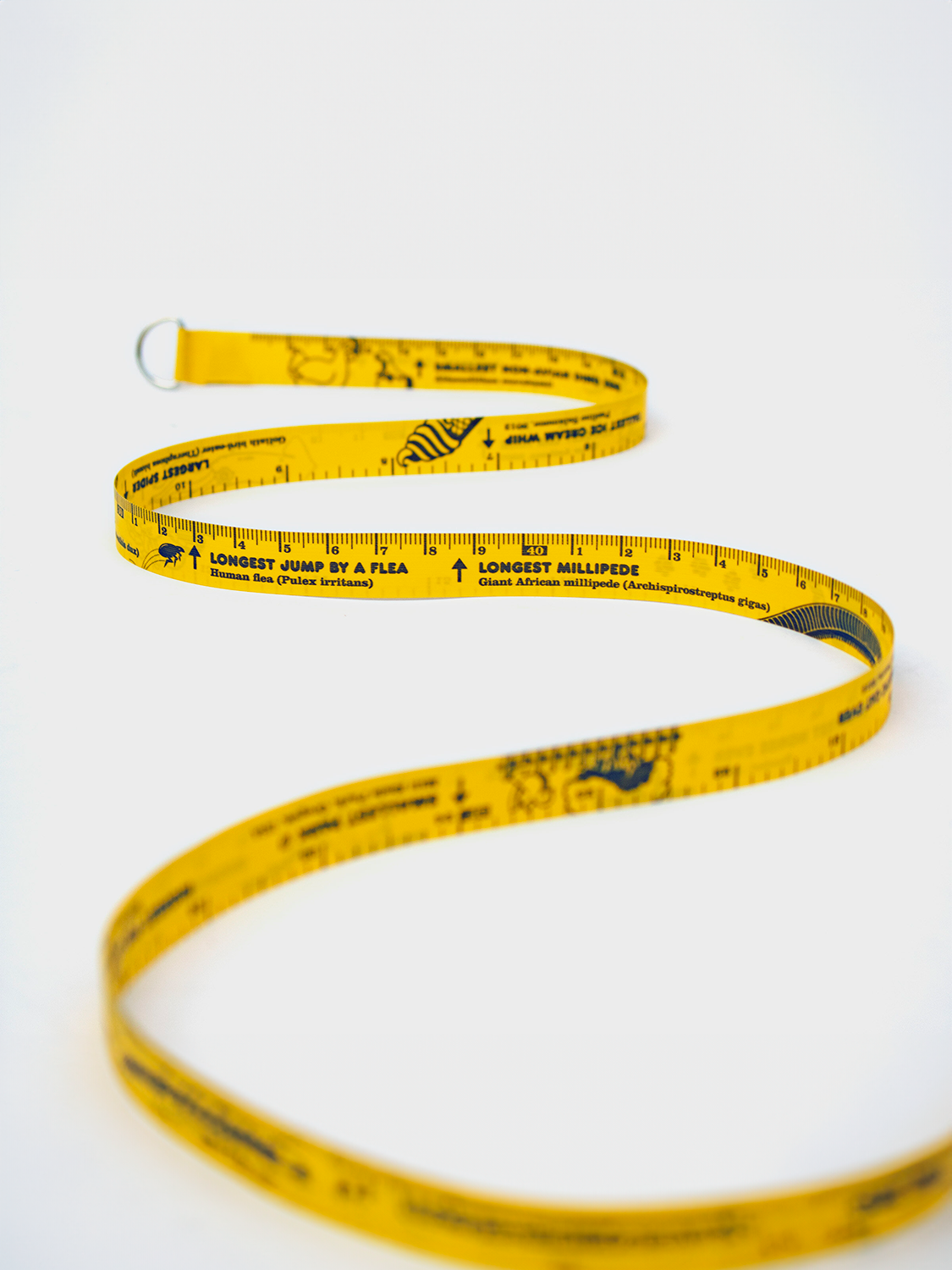 Cinta métrica c/récords guinness Suck uk SK GWRTAPEMEA1