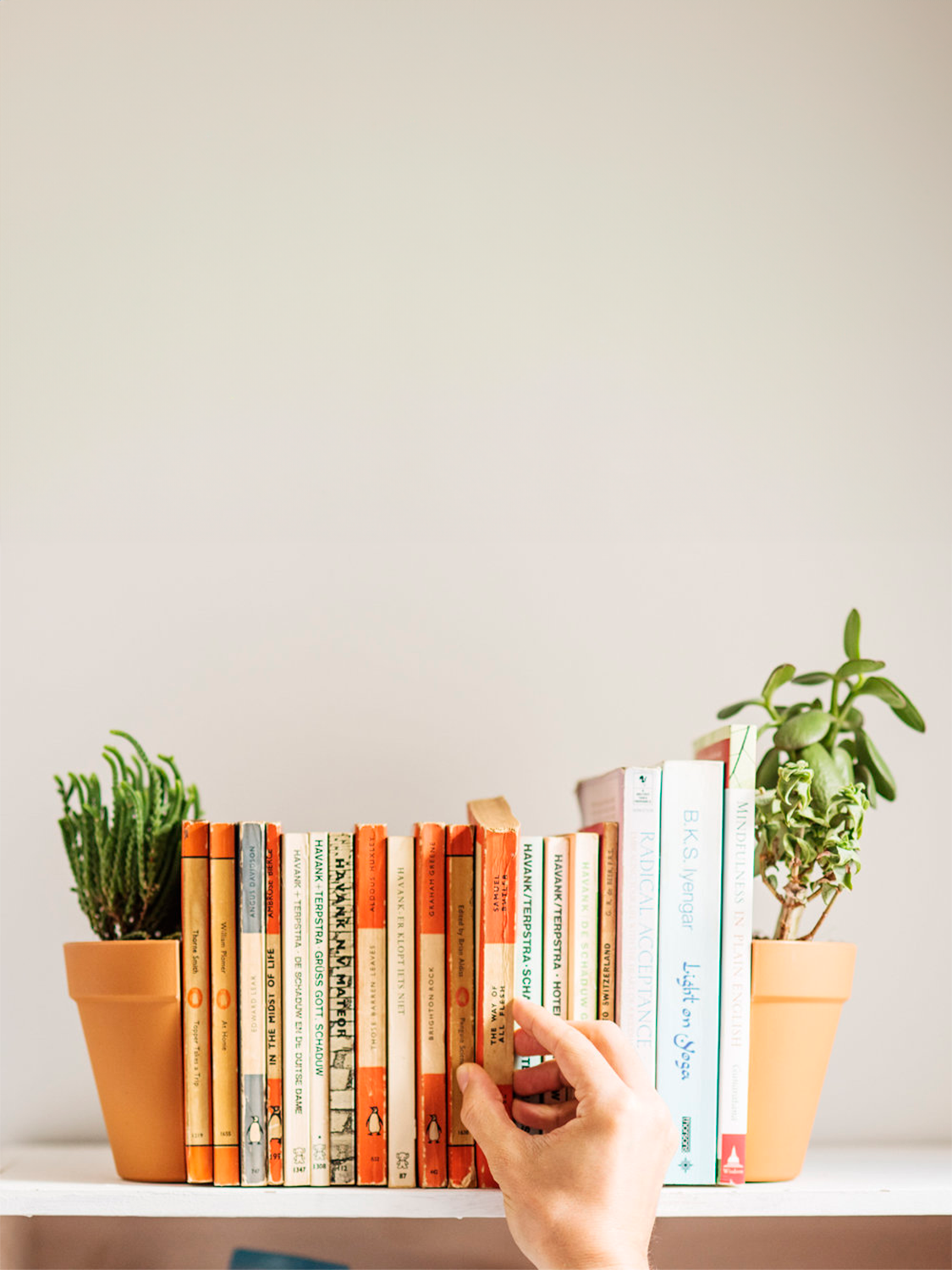 Sujetalibros maceta Suck uk SK BOOKPLANT2