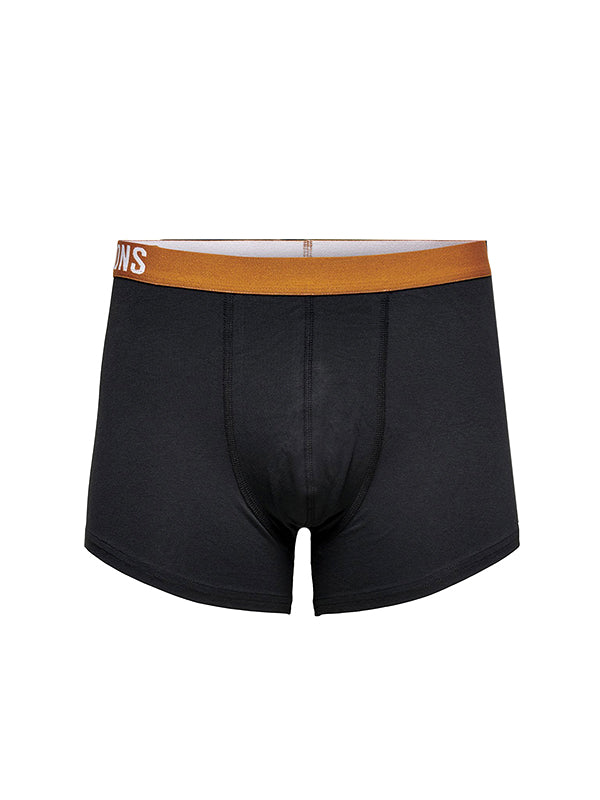 Boxer OS Fitzc 22021058