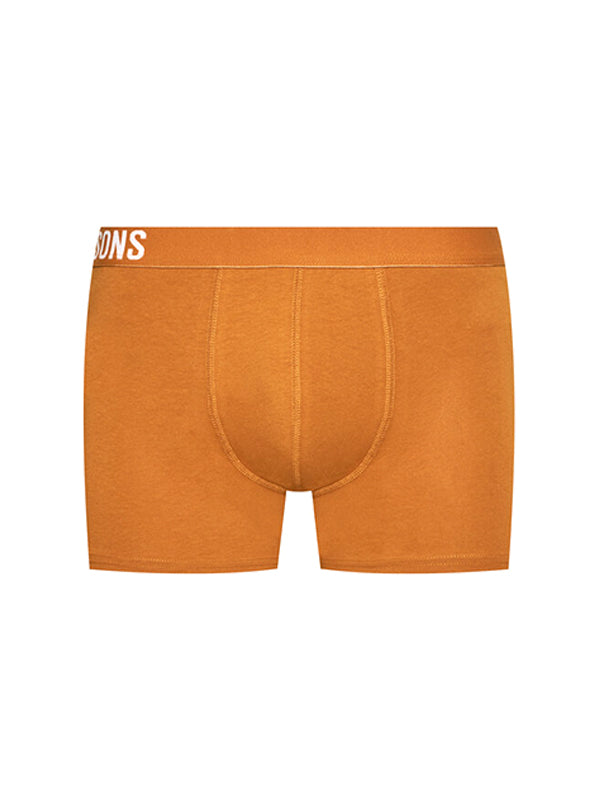 Boxer OS Fitzb 22021060