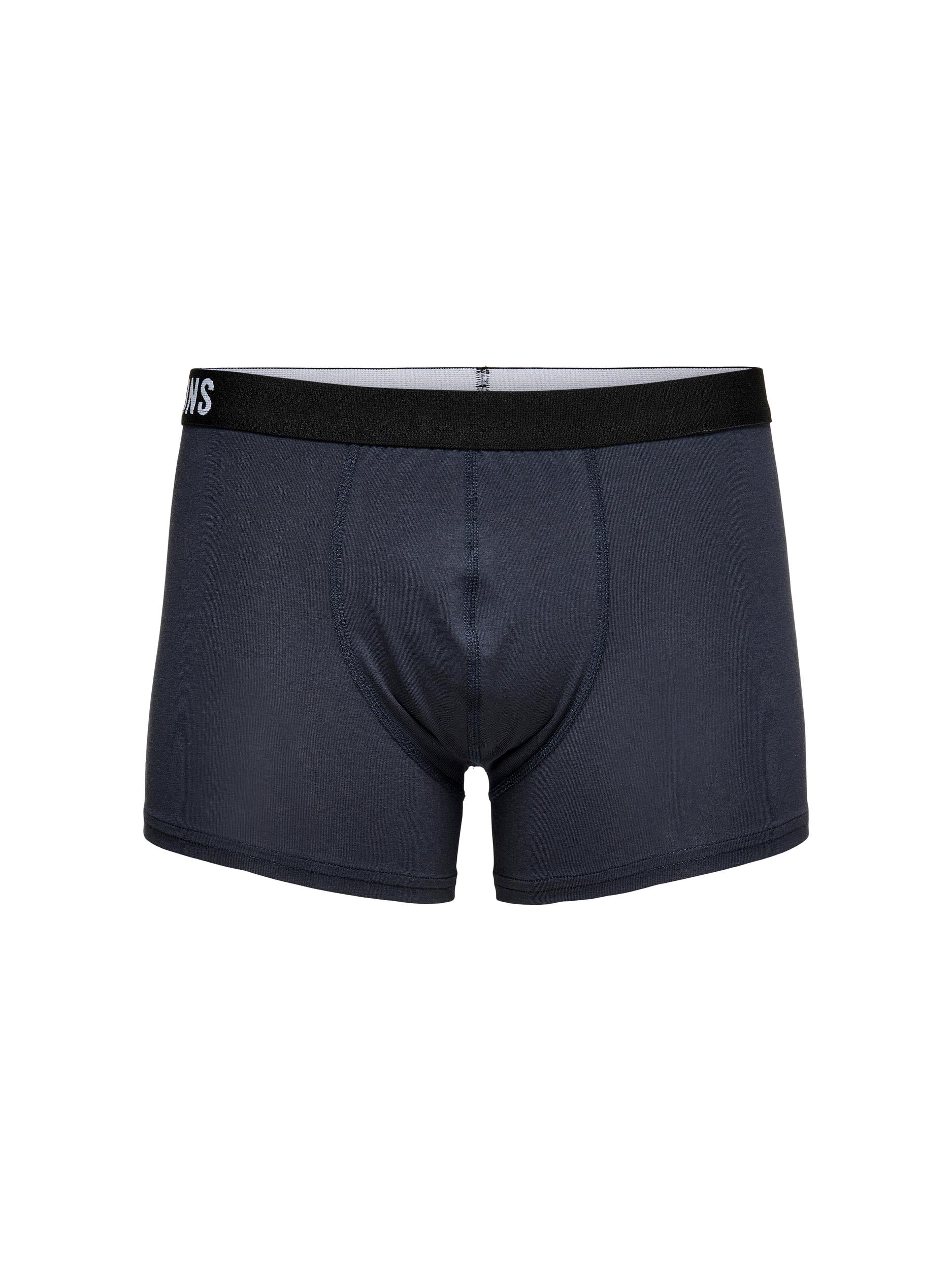 Boxer OS Fitz 22021059