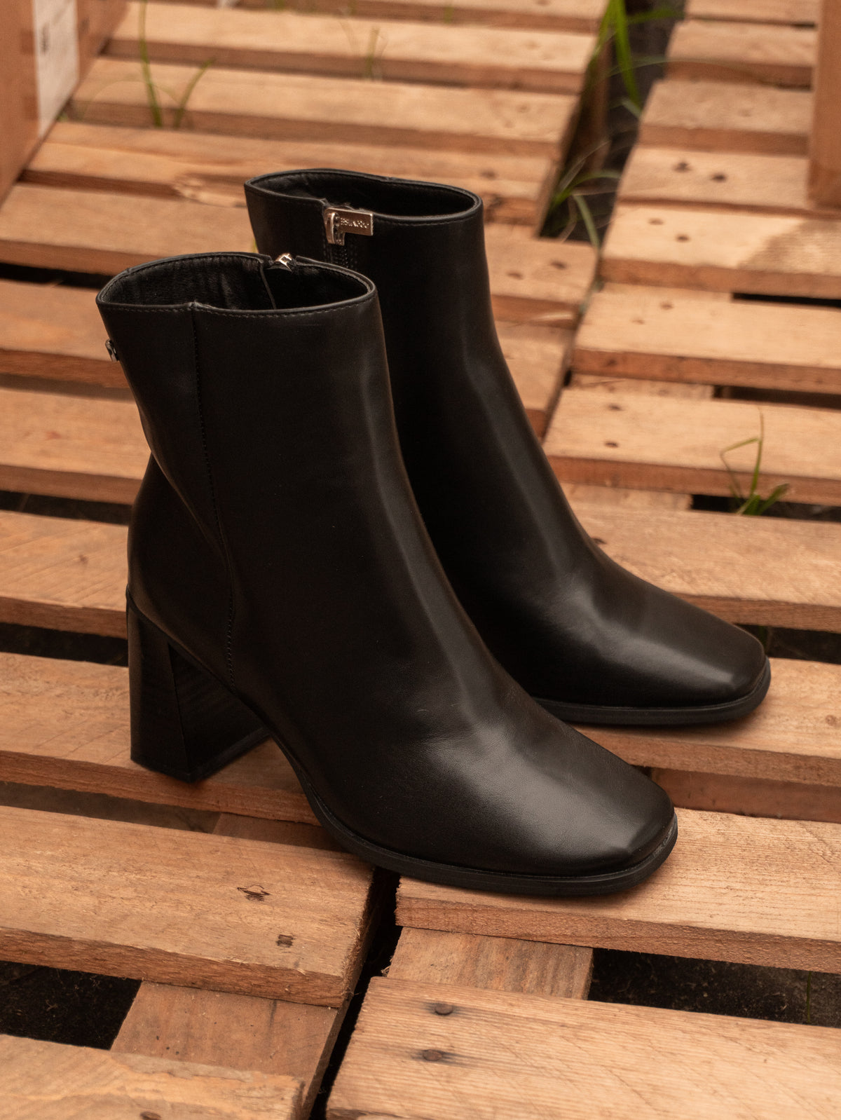 Botin Promise Ferrara 2
