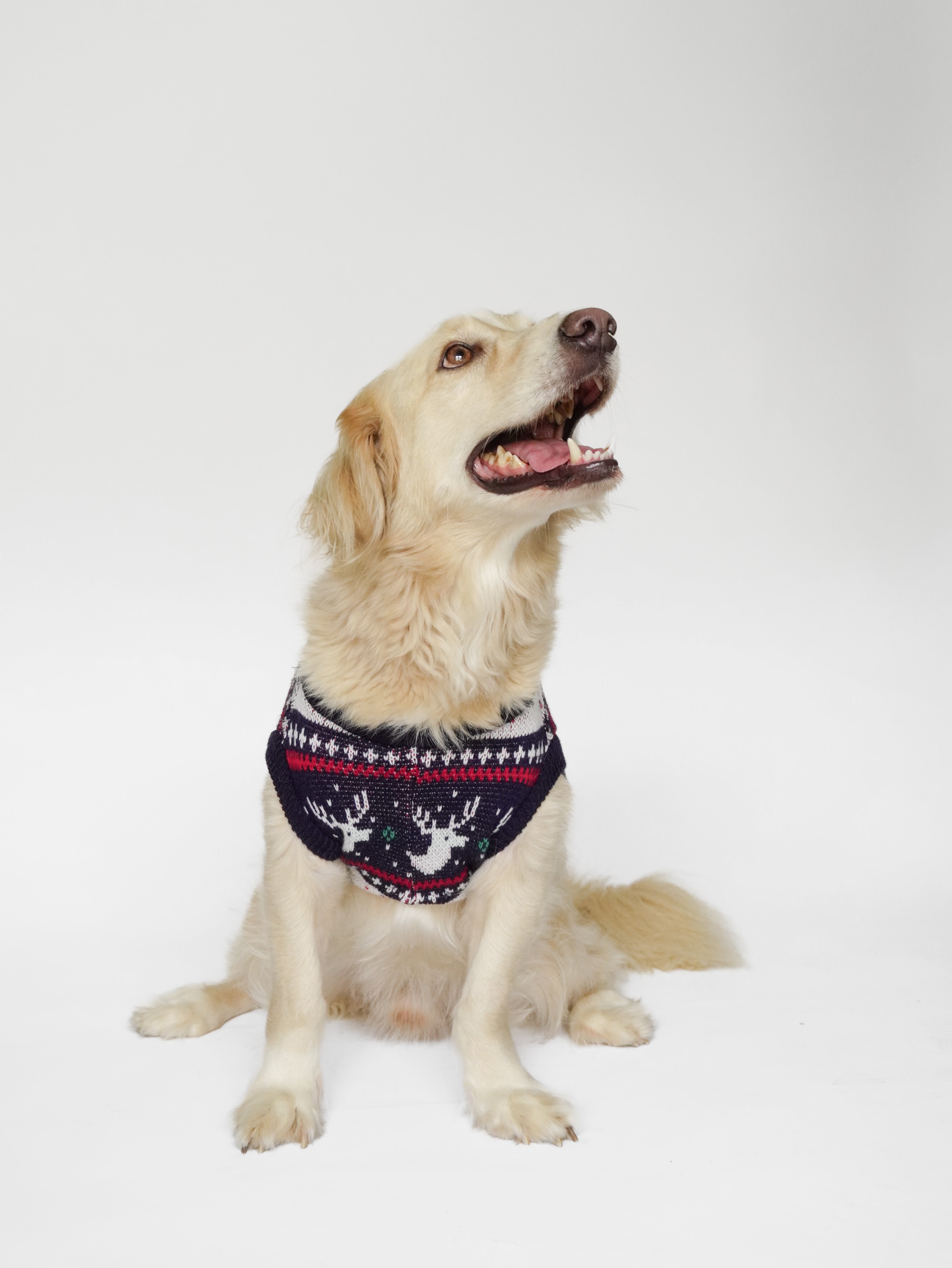 Abrigo Navideño Tendenza Xmas-MA276