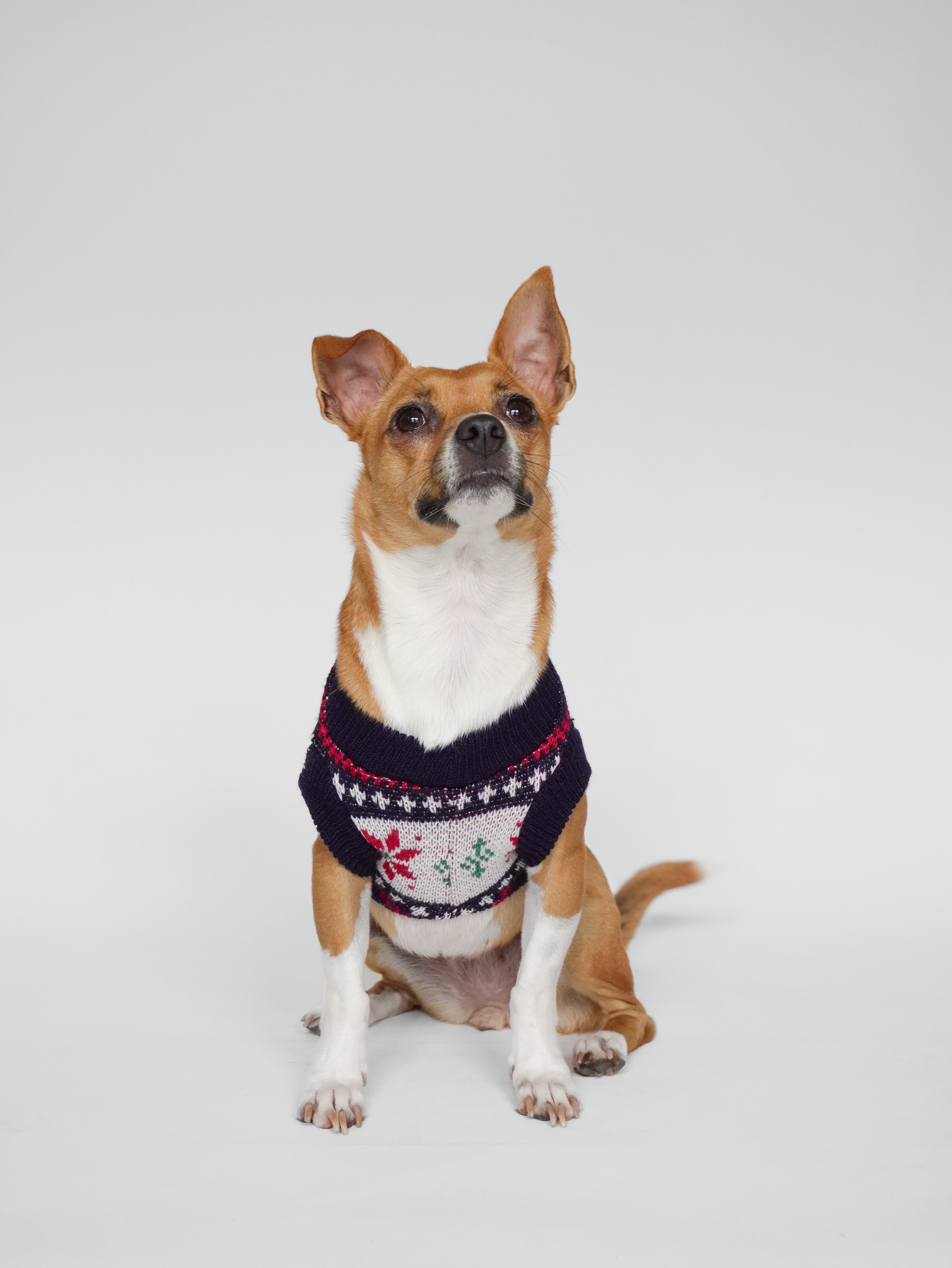 Abrigo Navideño Tendenza Mascotas Quebec R/B	 Xmas-MA275