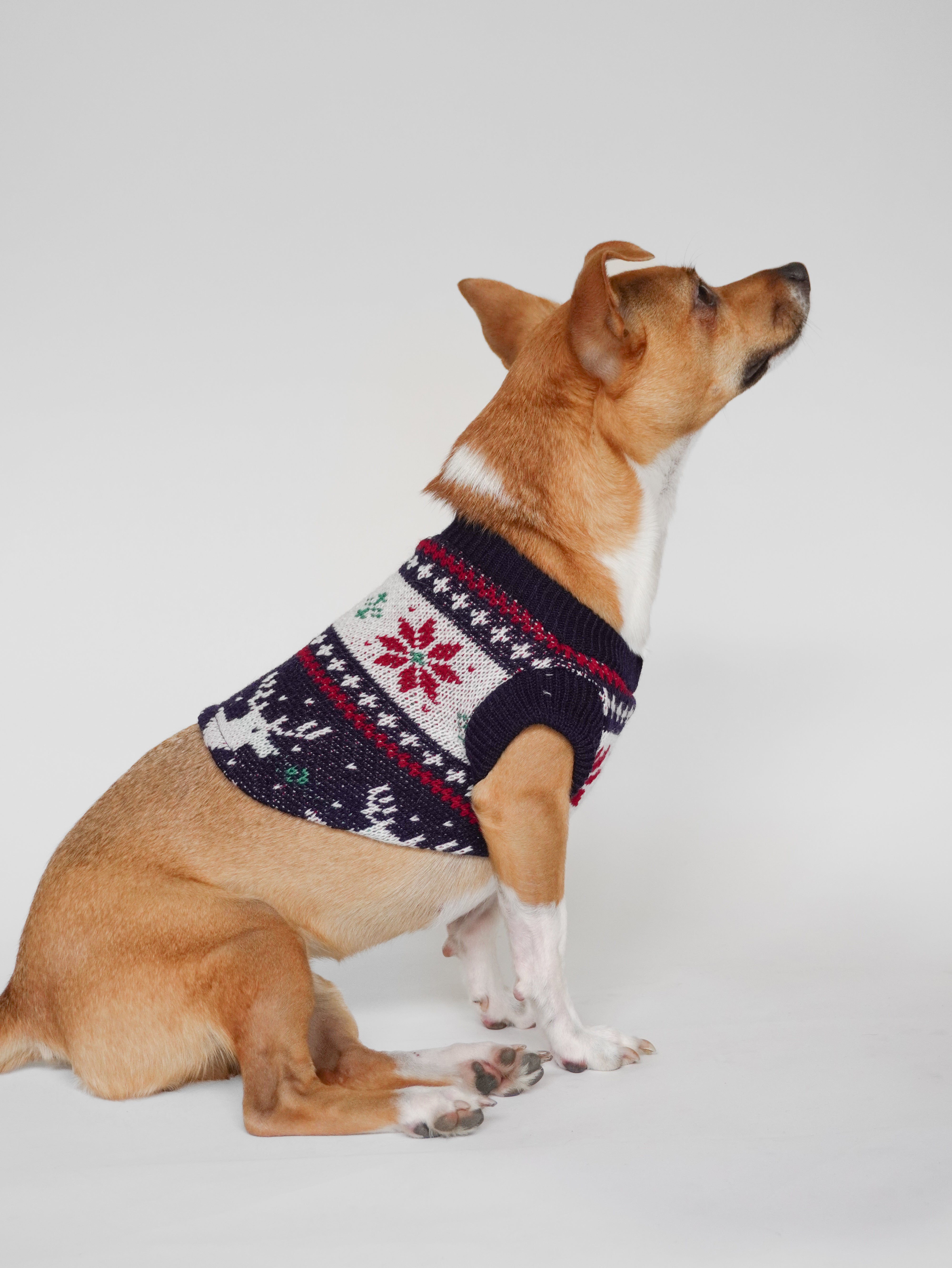 Abrigo Navideño Tendenza Mascotas Quebec R/B	 Xmas-MA275