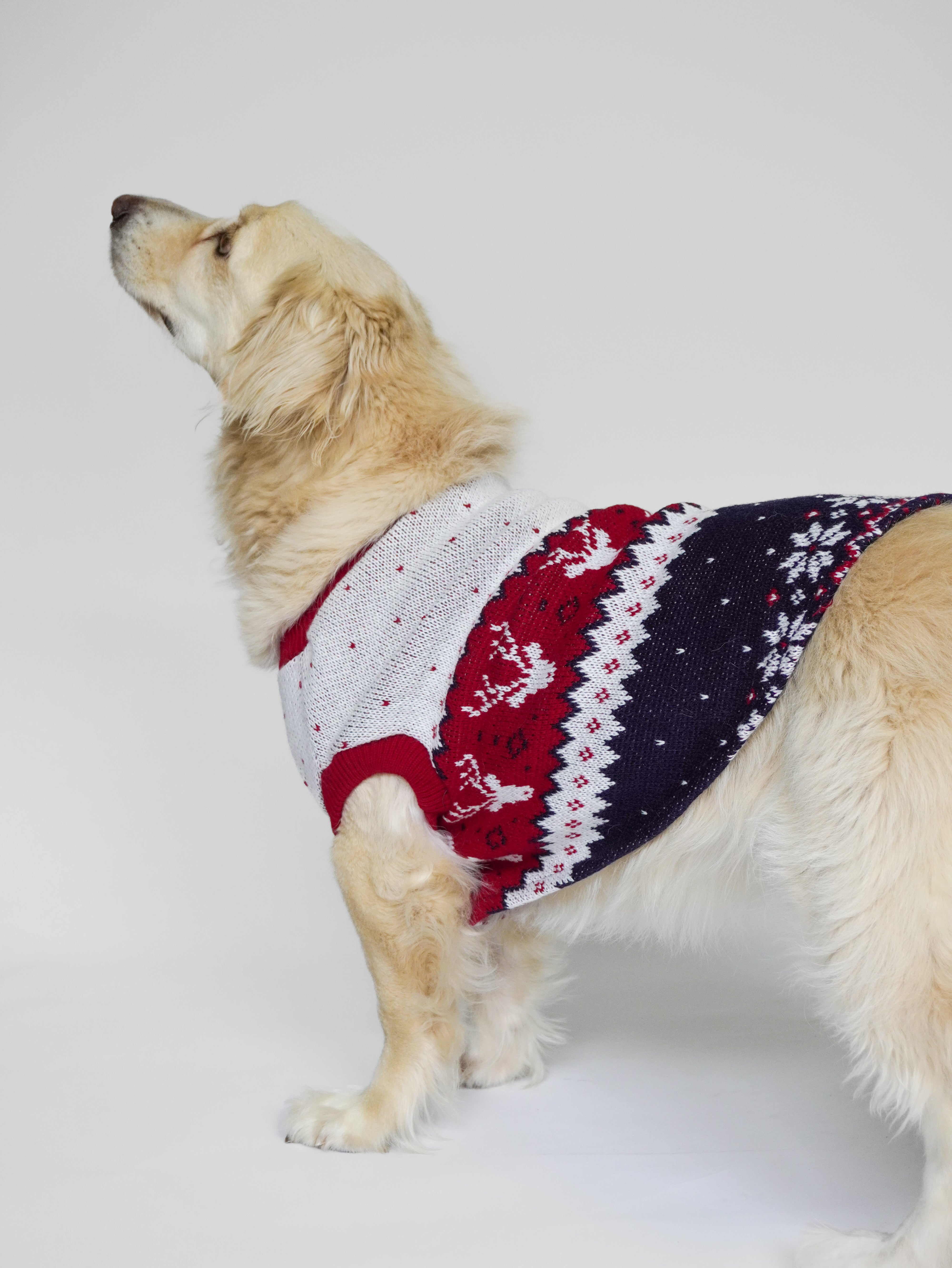 Abrigo Navideño Tendenza Xmas-MA280