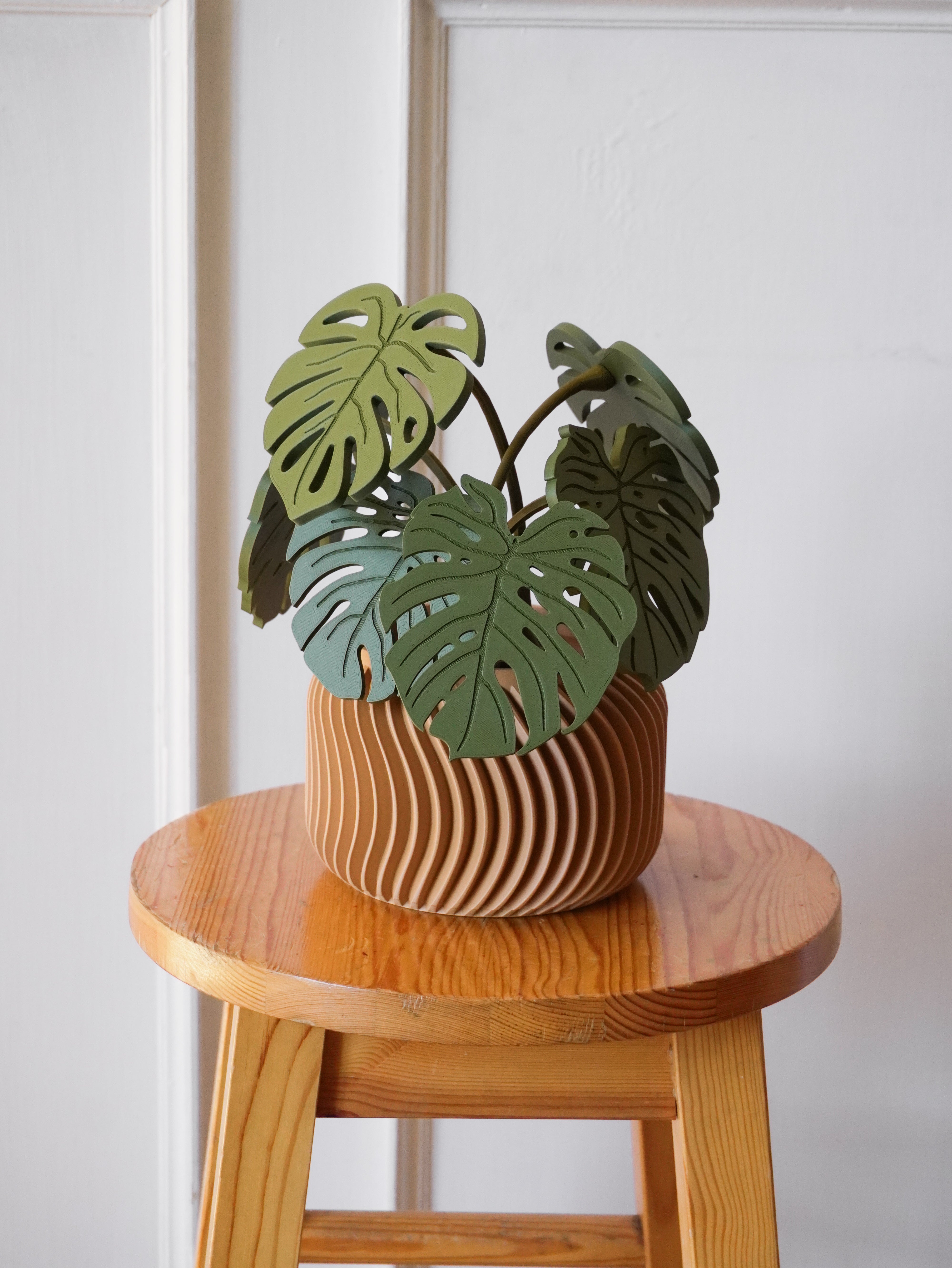 Planta Posavasos Formas 3D F3DPPHM001