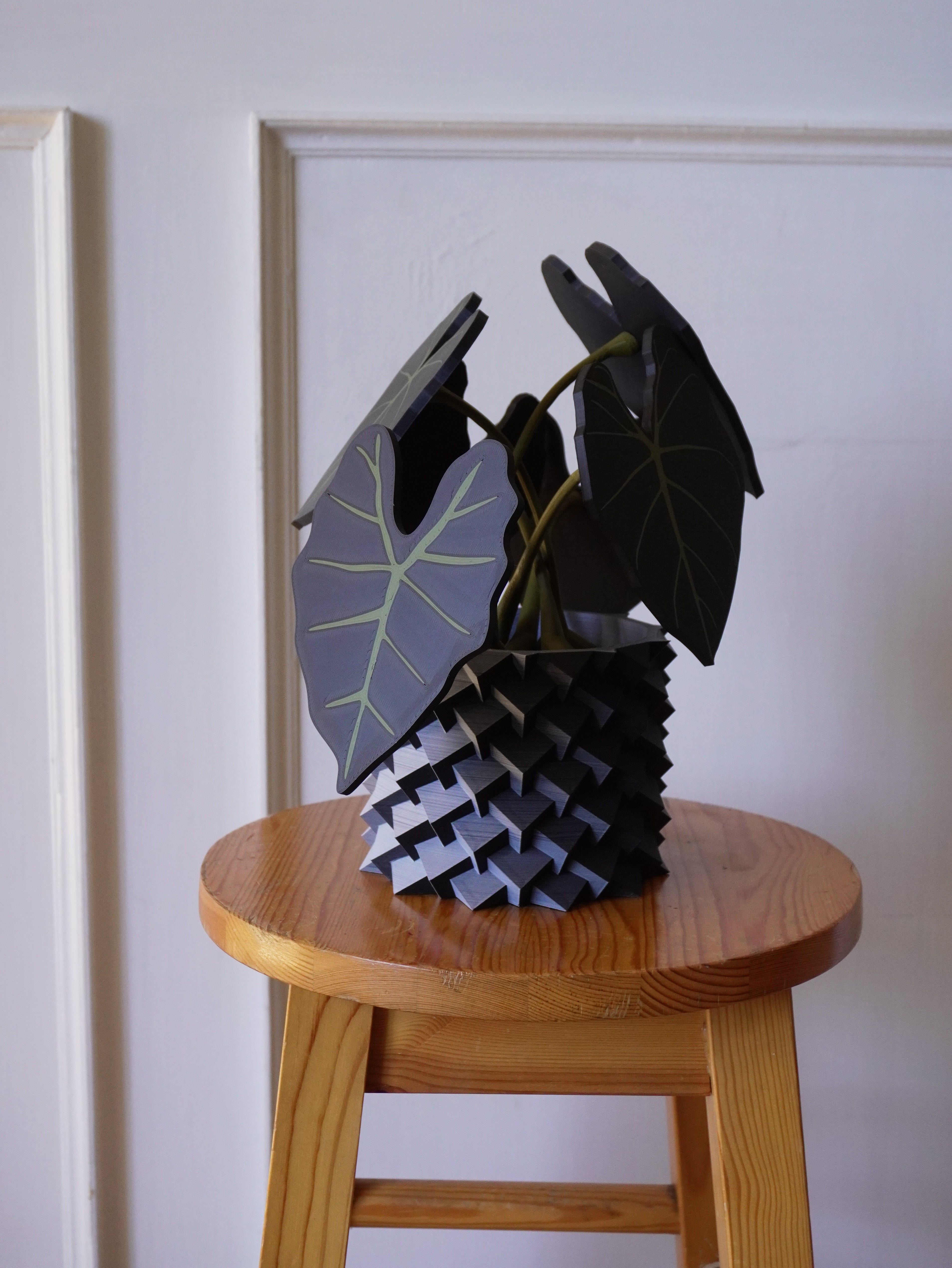 Planta Posavasos Formas 3D F3DPPA01