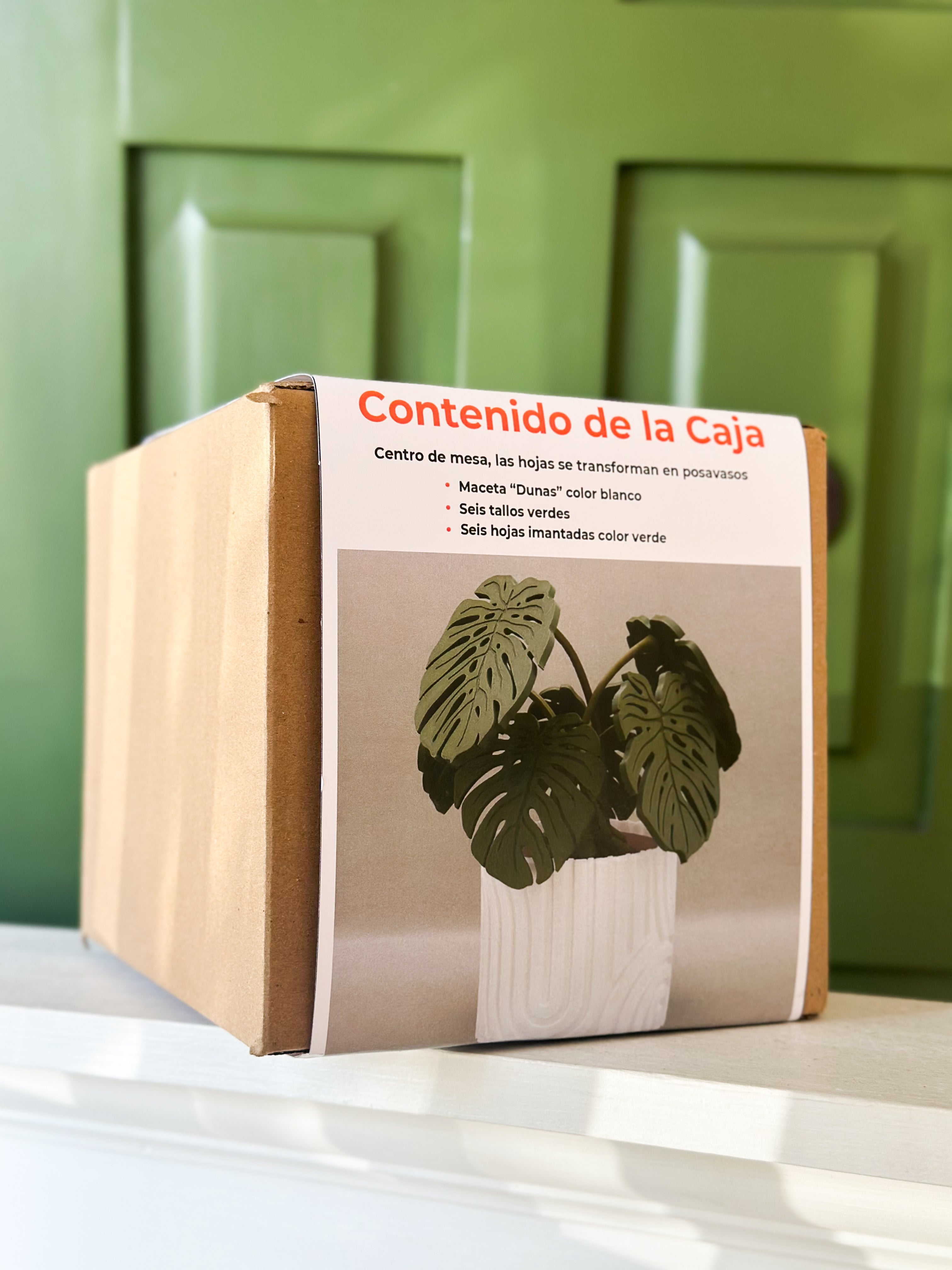 Planta Posavasos Formas 3D F3DPPFM001