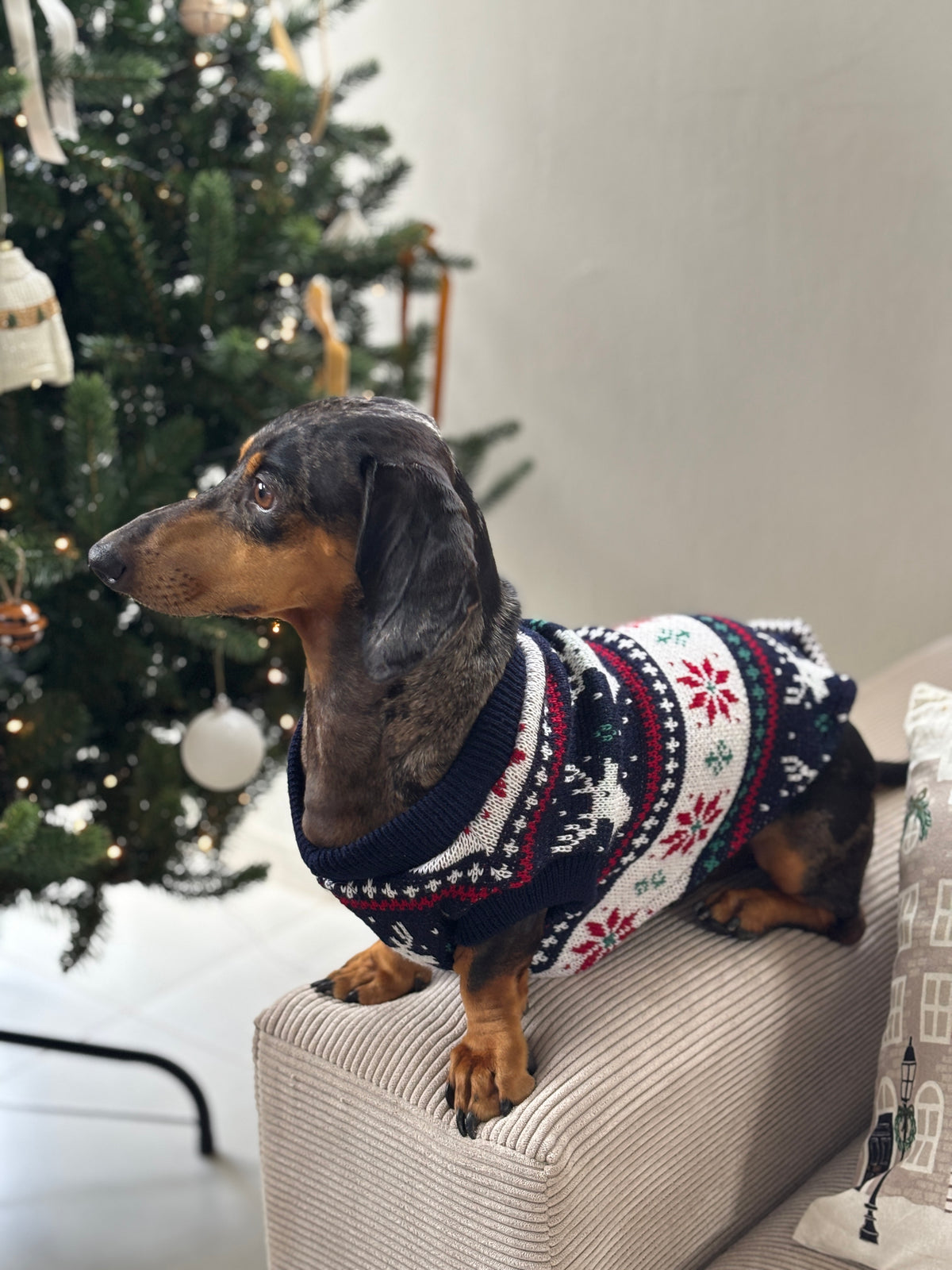 Abrigo Navideño Tendenza Xmas-MA276