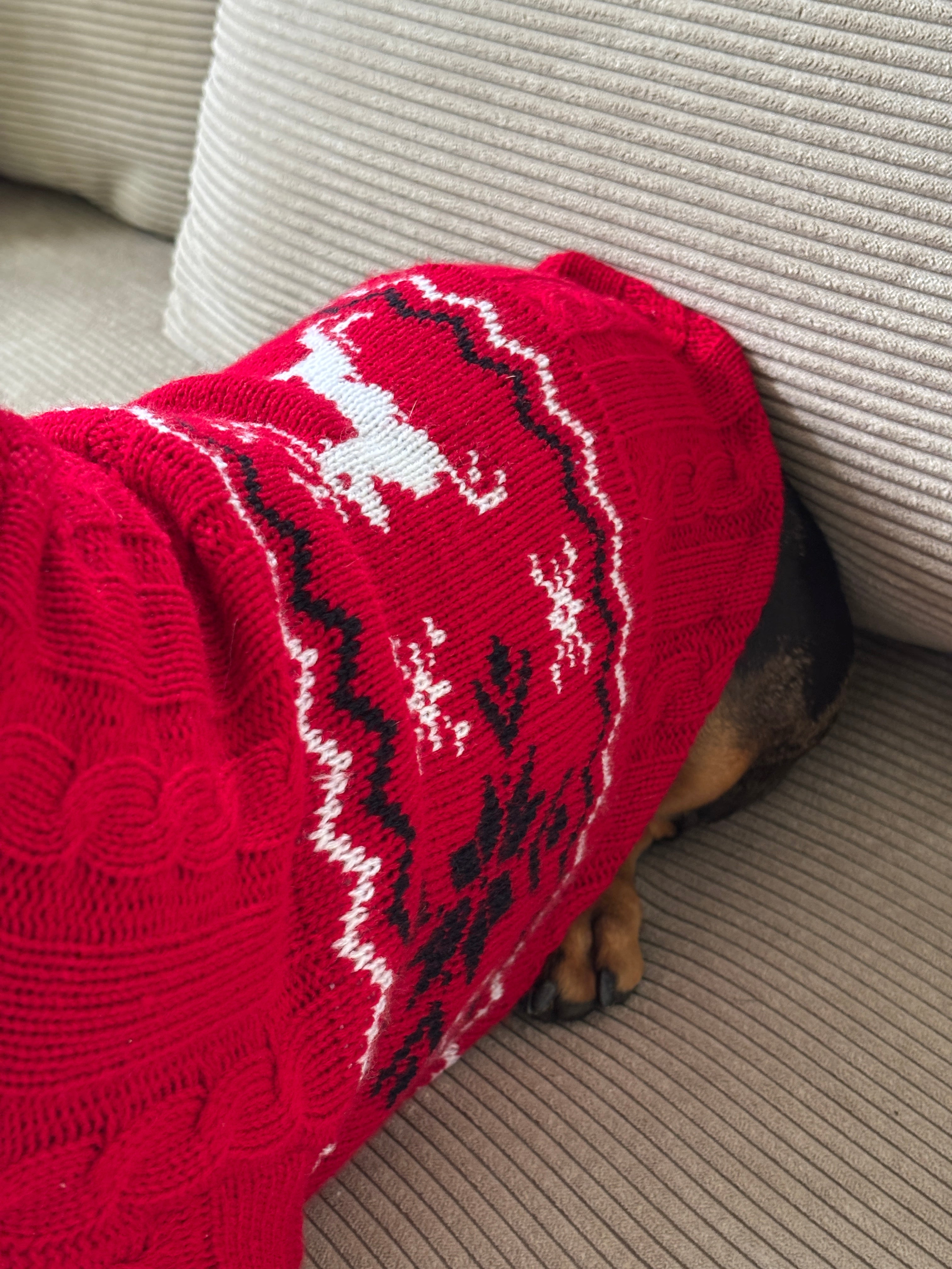 Abrigo Navideño Tendenza XMAS-MA290