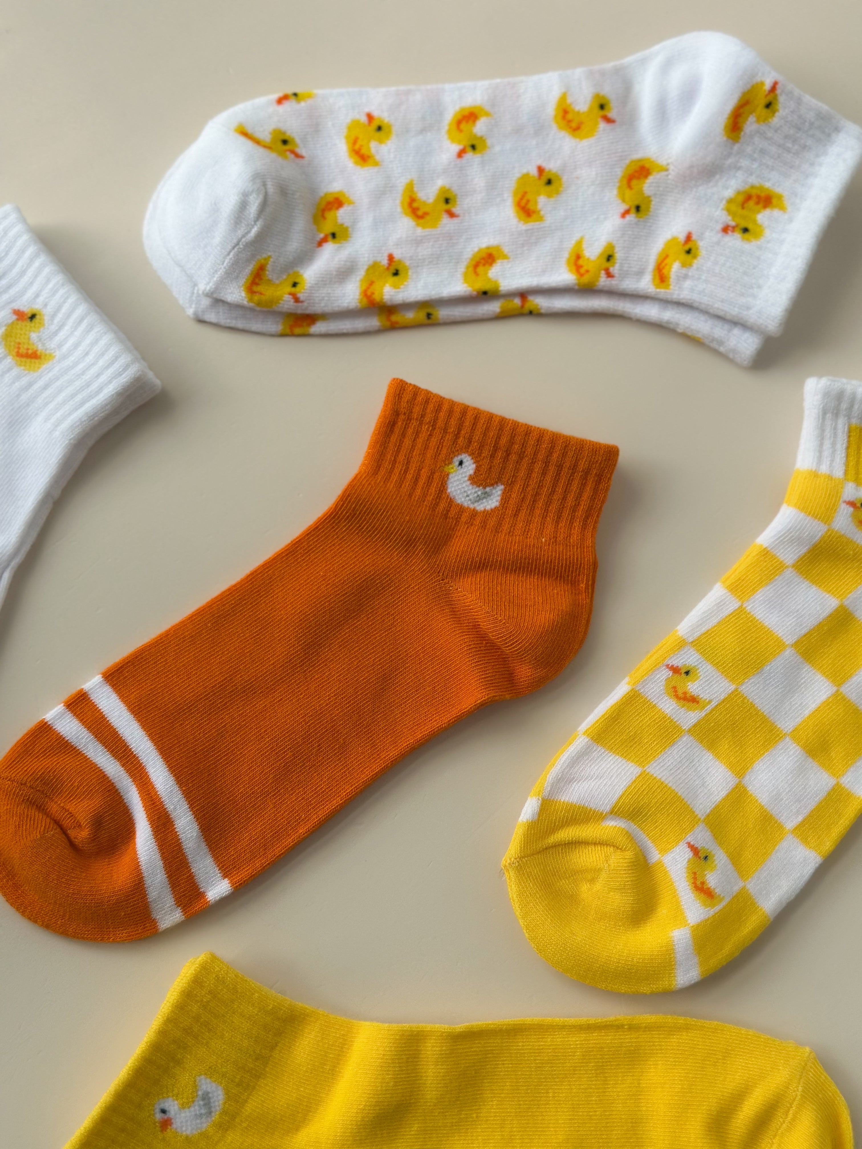 Media nollia pato sixpack LN6F1645