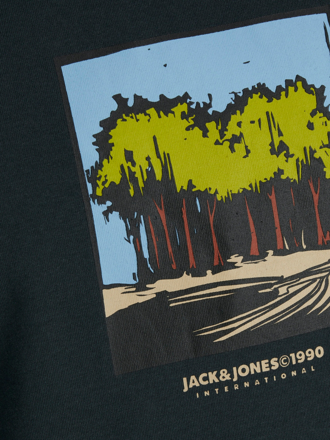 Tshirt Jack & Jones Portland III 12262595