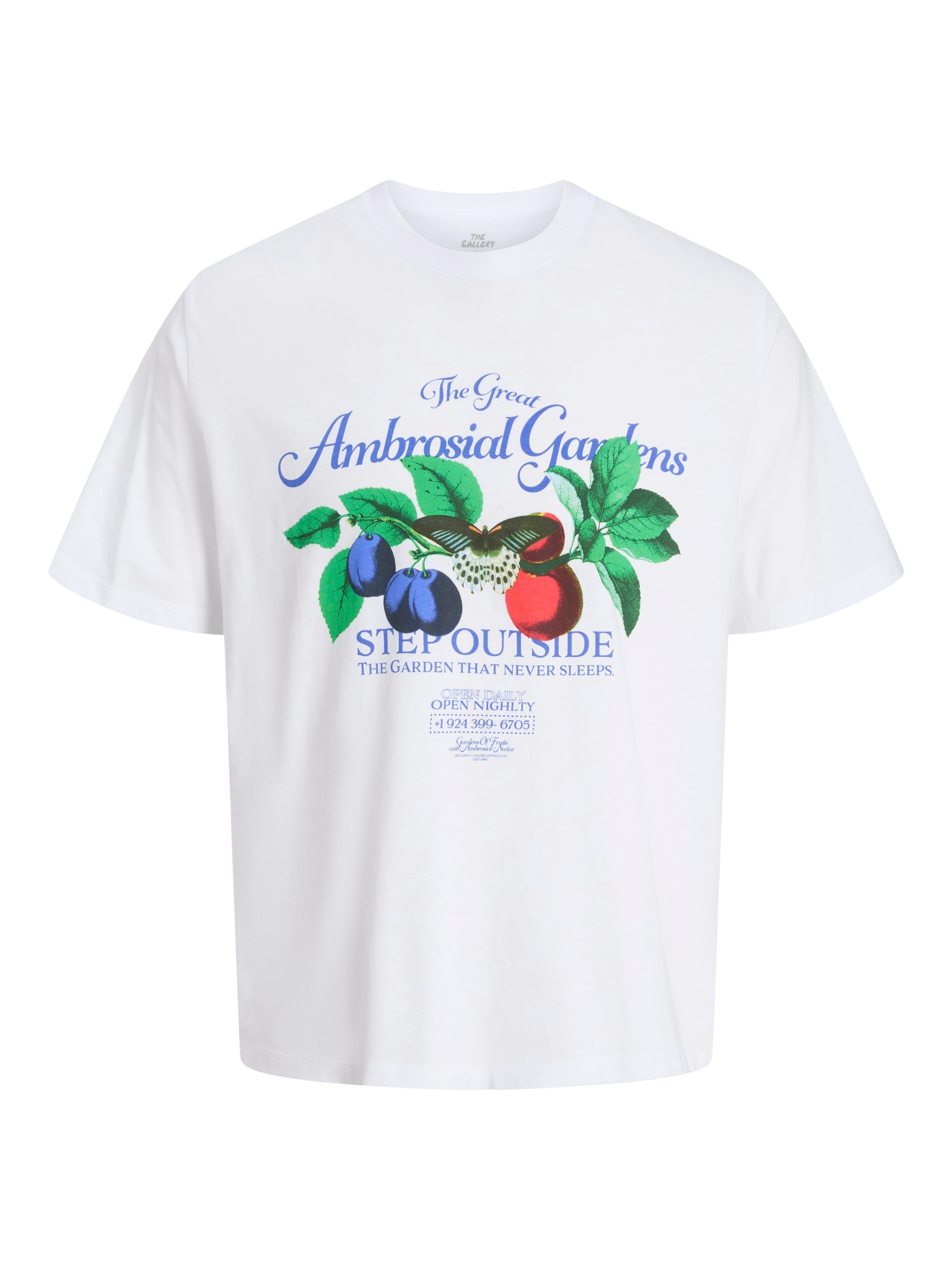 Tshirt Jack Jones Fauna Ambrosial 12283968