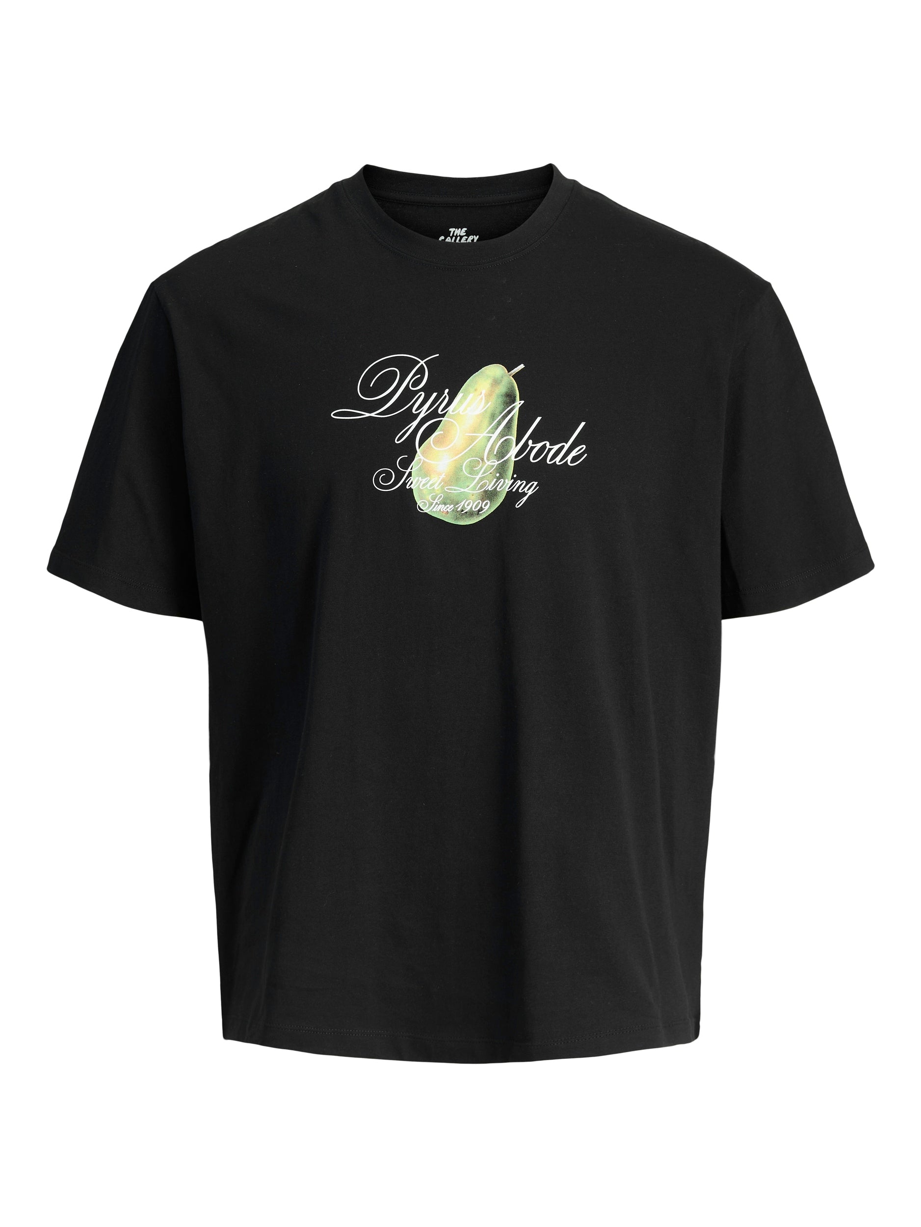 Tshirt Jack Jones Fauna 12283968