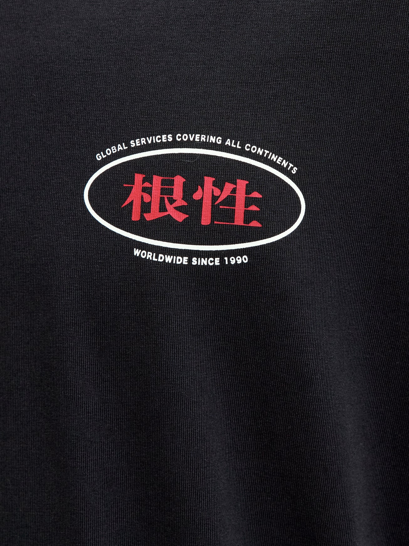 Tshirt Jack & Jones Southeast 12283974