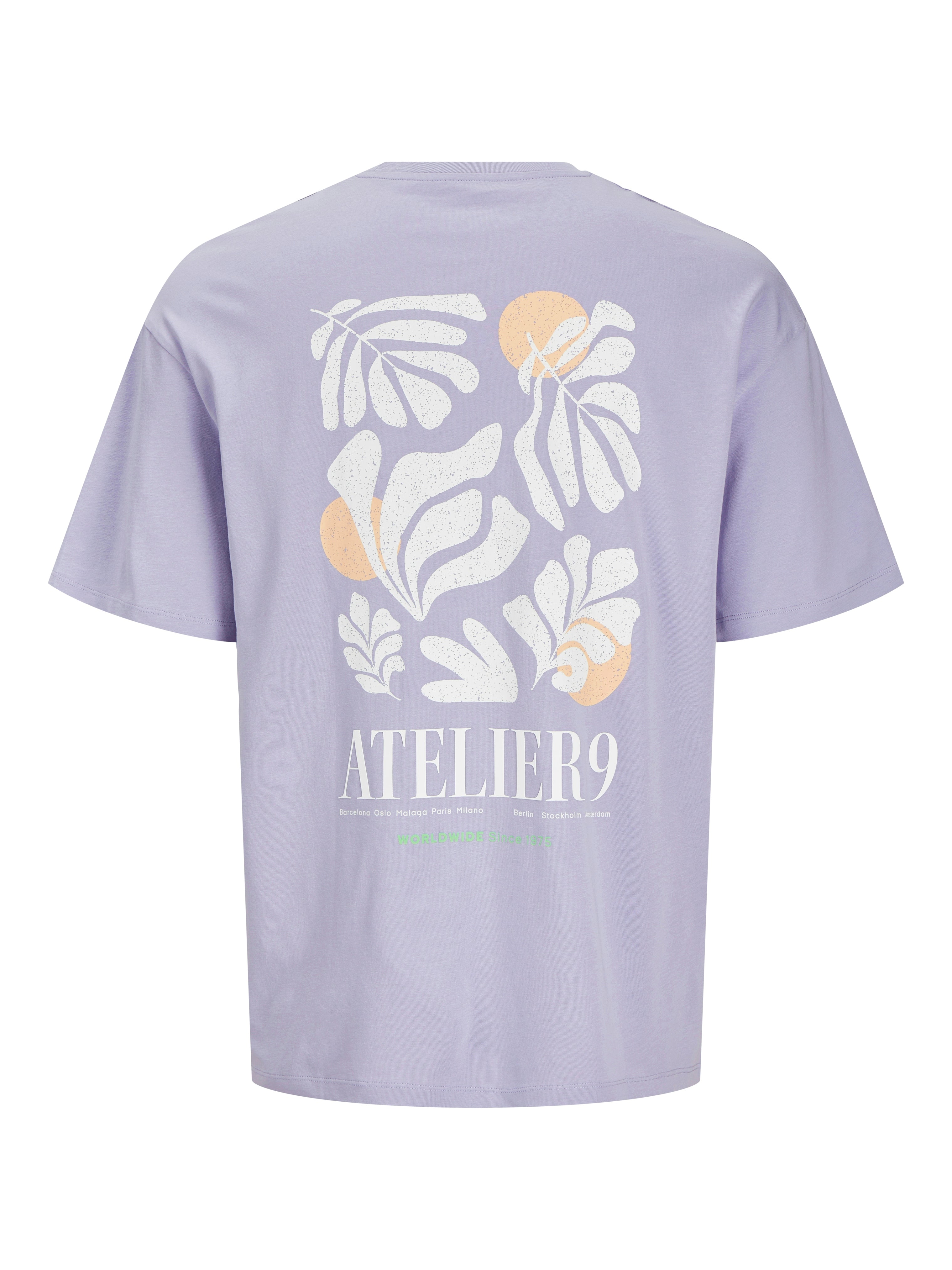 Tshirt Jack & Jones Ames III  12268471