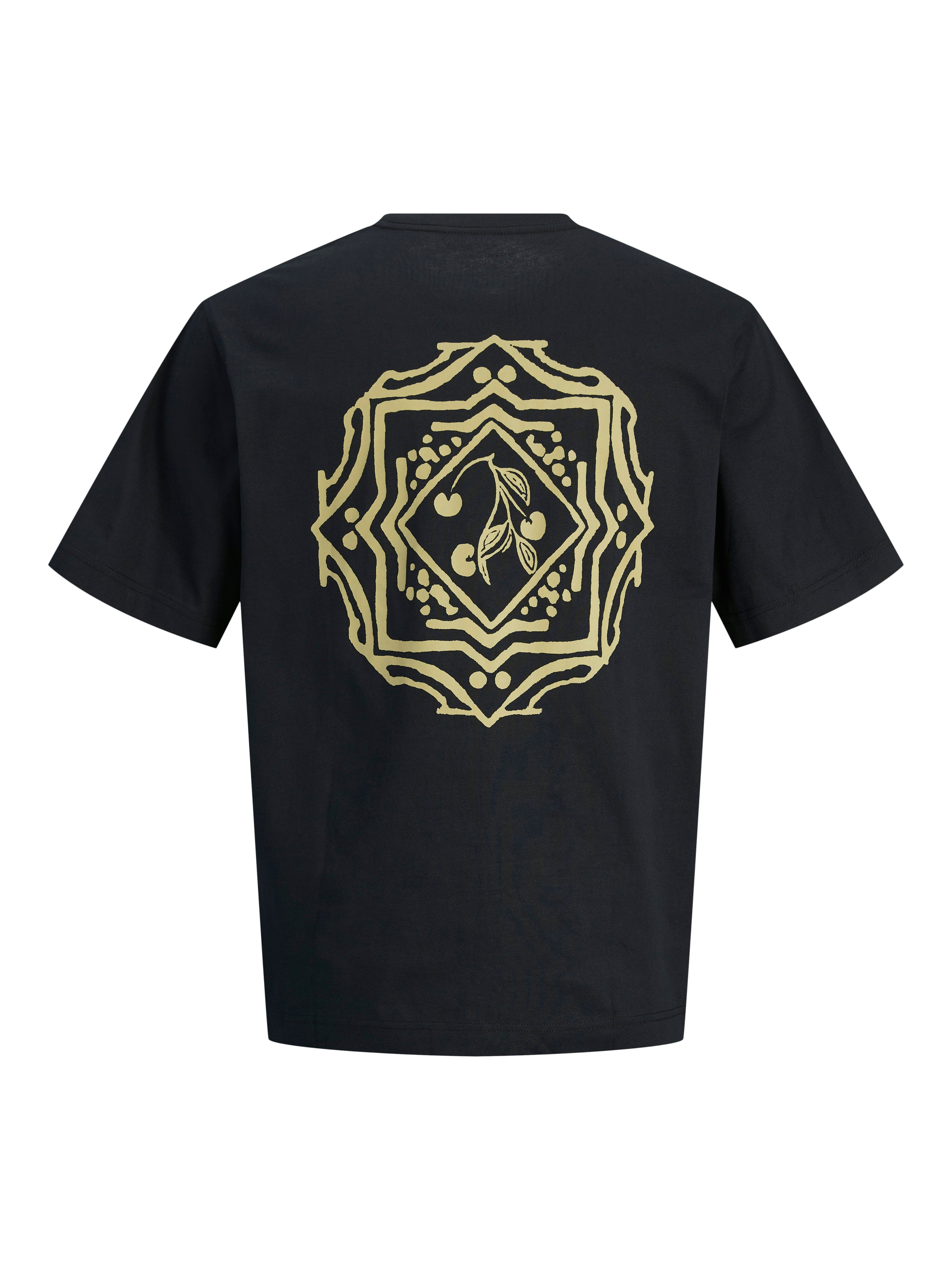 Tshirt Jack & Jones Paros II  12273171