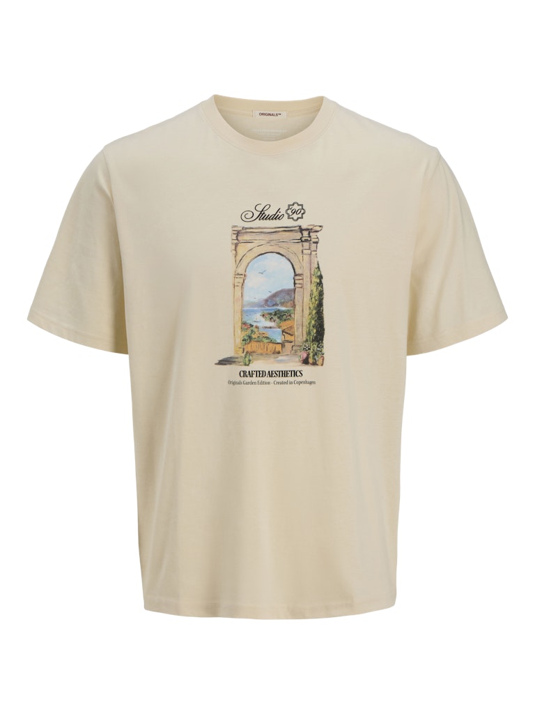 Tshirt Jack Jones Hydra  12277248