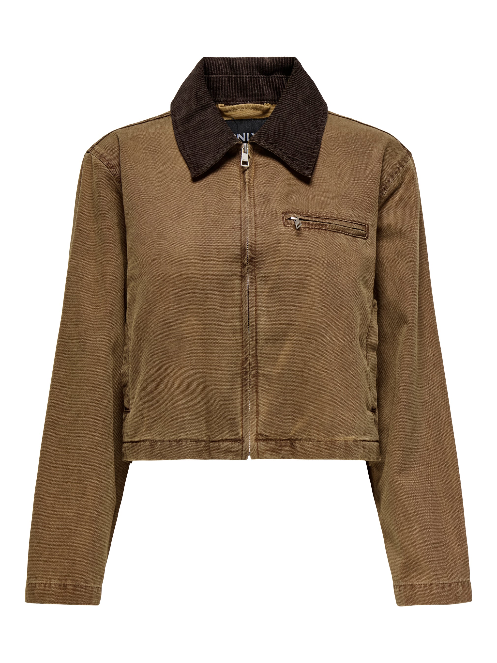 Jacket Only Cava  15349187