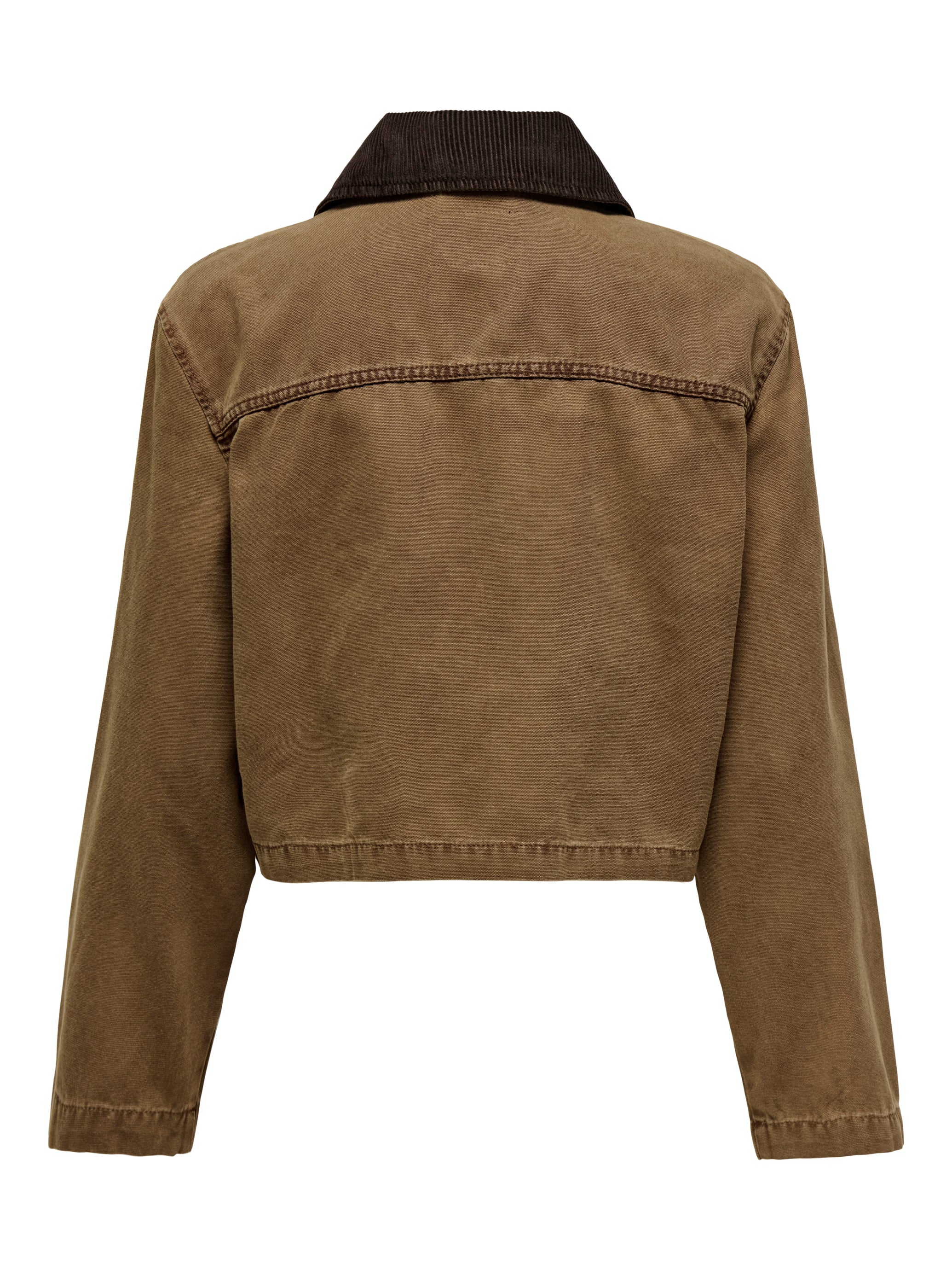 Jacket Only Cava  15349187