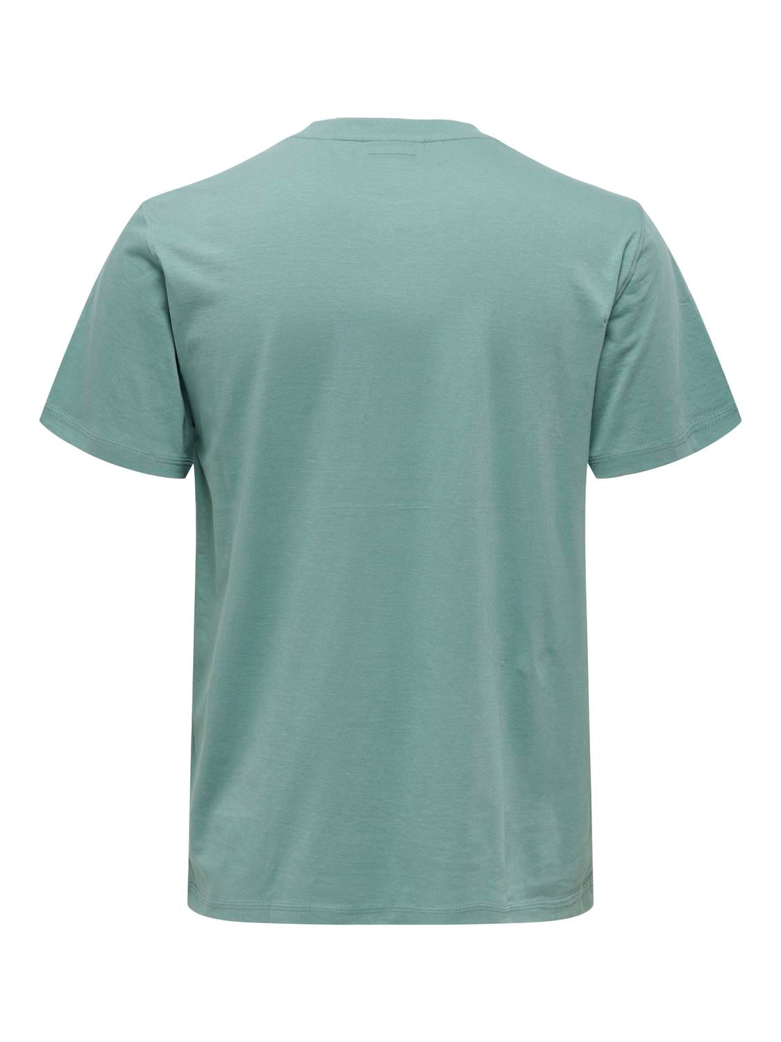 Tshirt Only & Sons Max 22025208