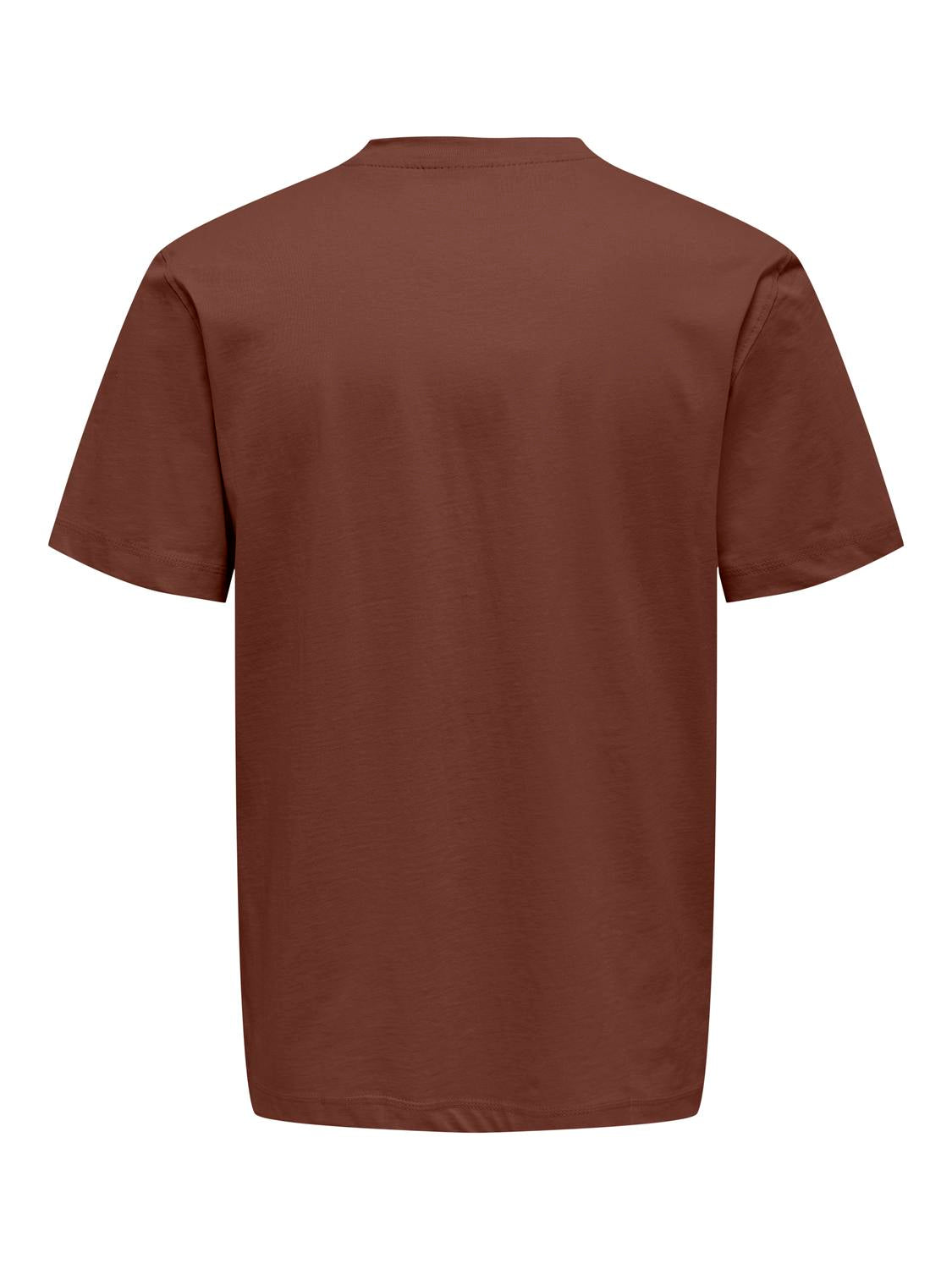 Tshirt Only & Sons Max 22025208