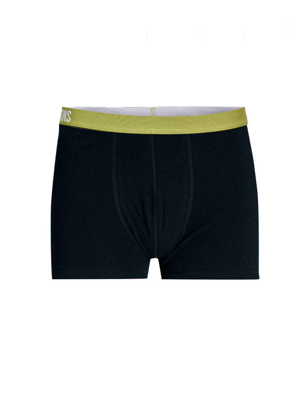 Boxer OS Staricn 22022282